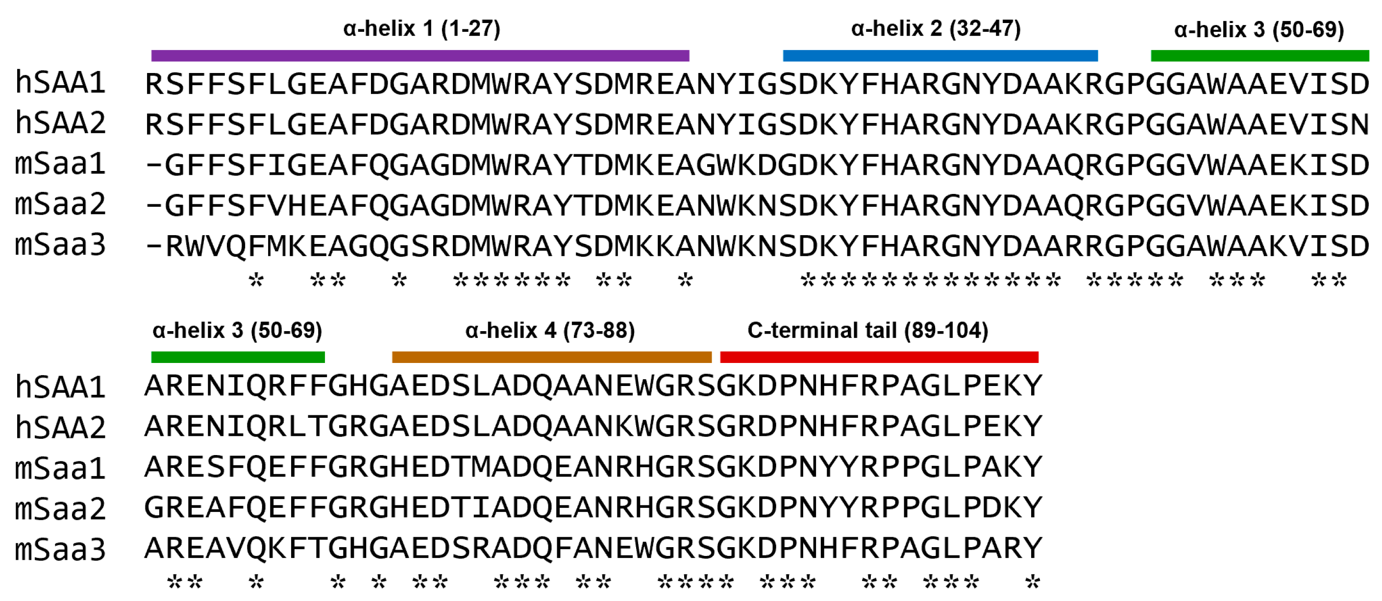 Ijms 26 00987 g004 Ijms 26 00987 g004