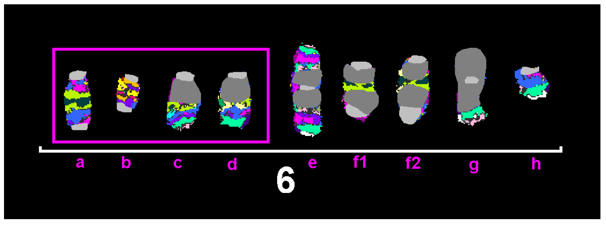 Ijms 26 01127 g002