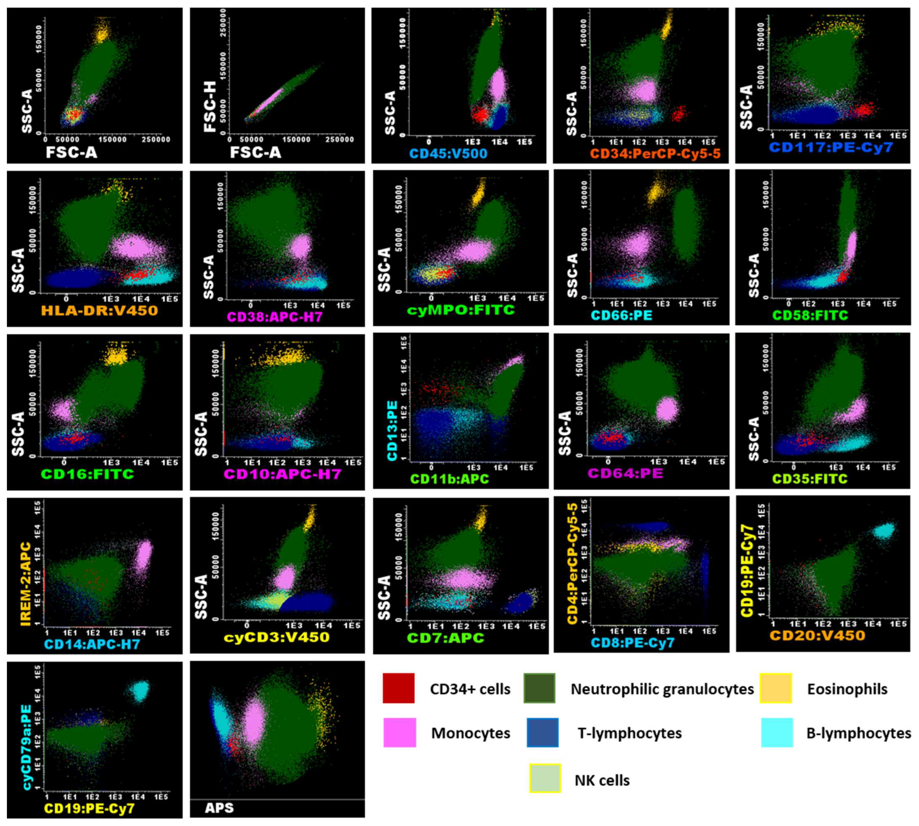 Ijms 26 01208 g003 Ijms 26 01208 g003
