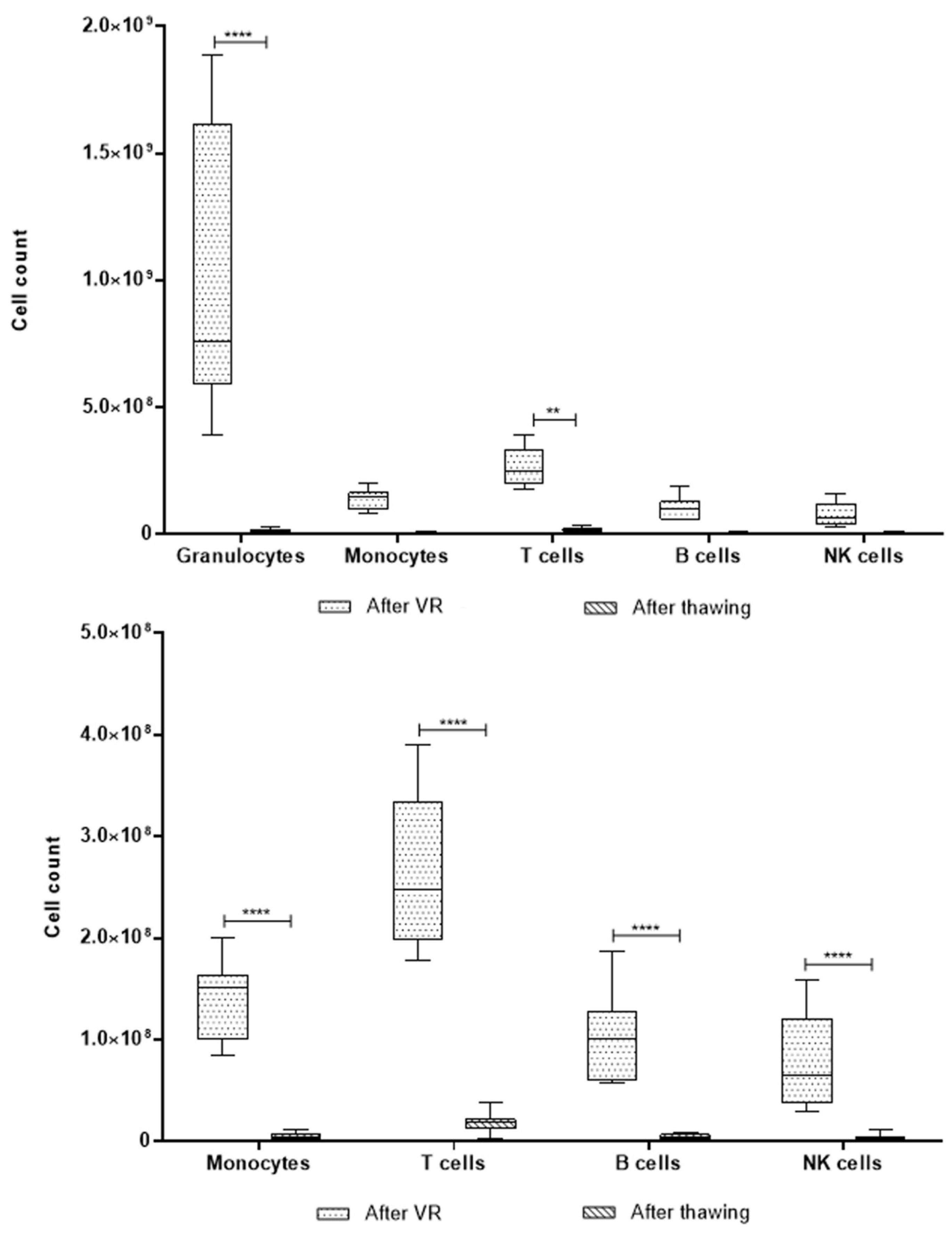 Ijms 26 01208 g008 Ijms 26 01208 g008
