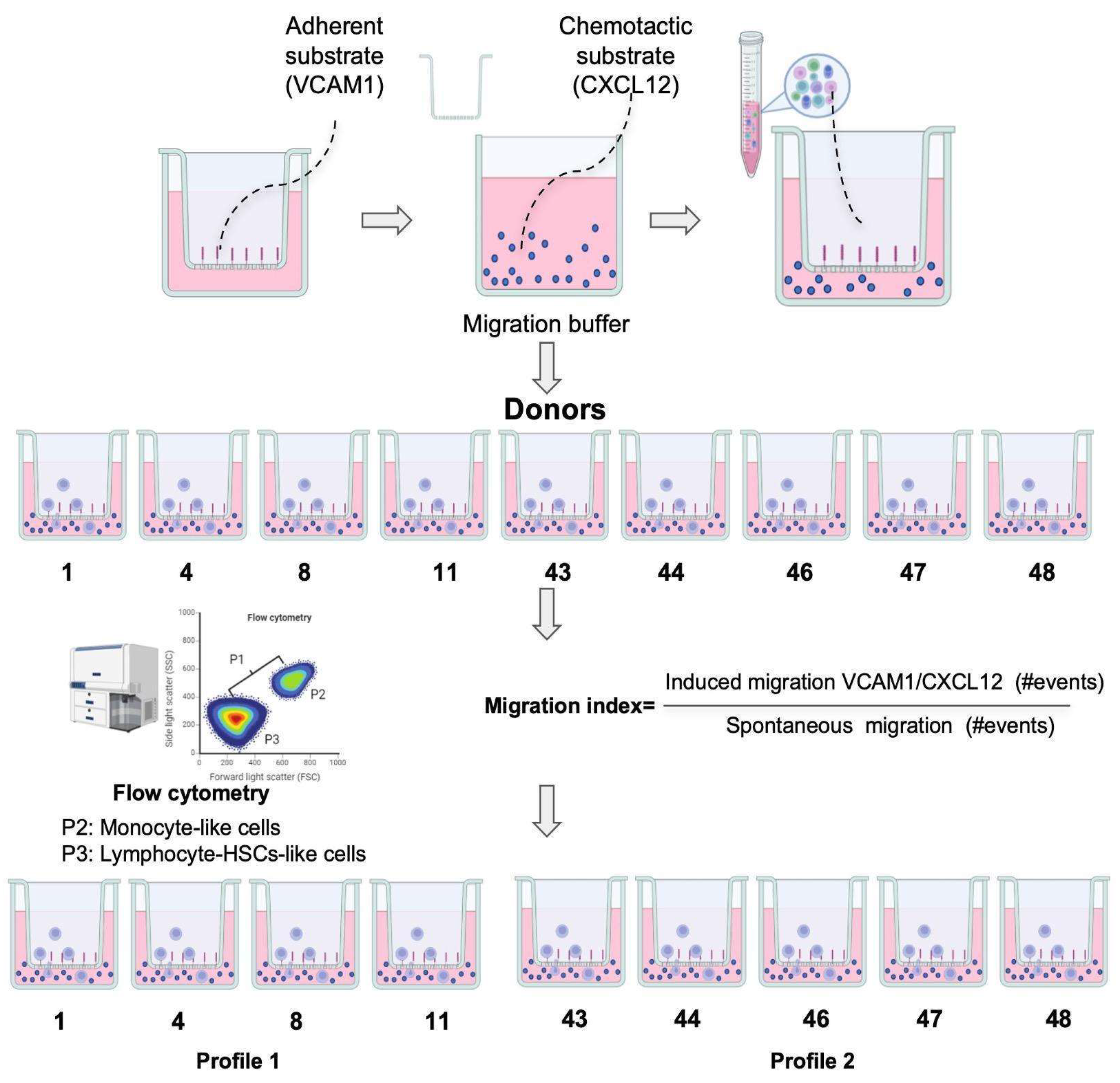 Ijms 26 01208 g010 Ijms 26 01208 g010