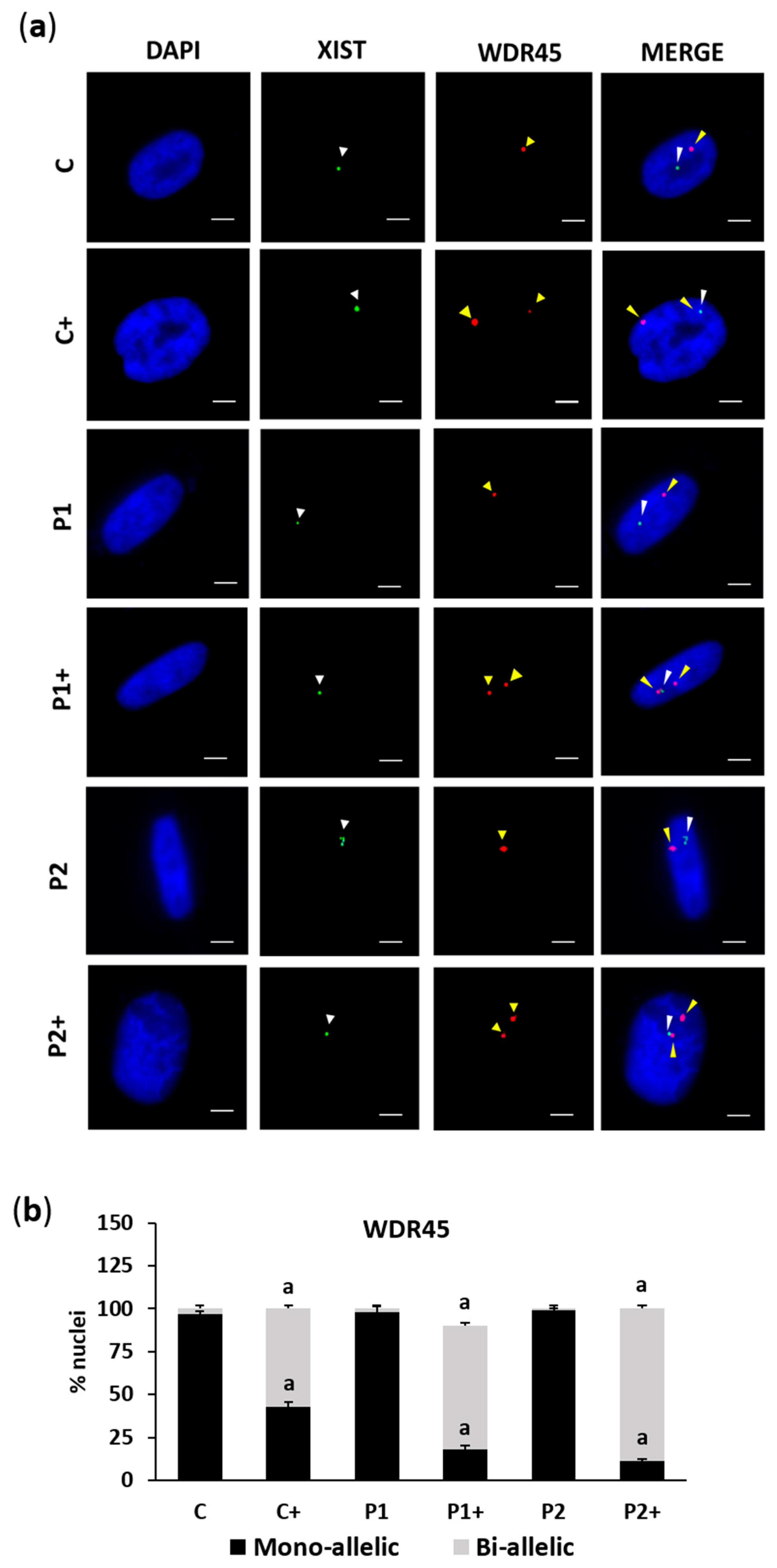Ijms 26 01315 g002 Ijms 26 01315 g002