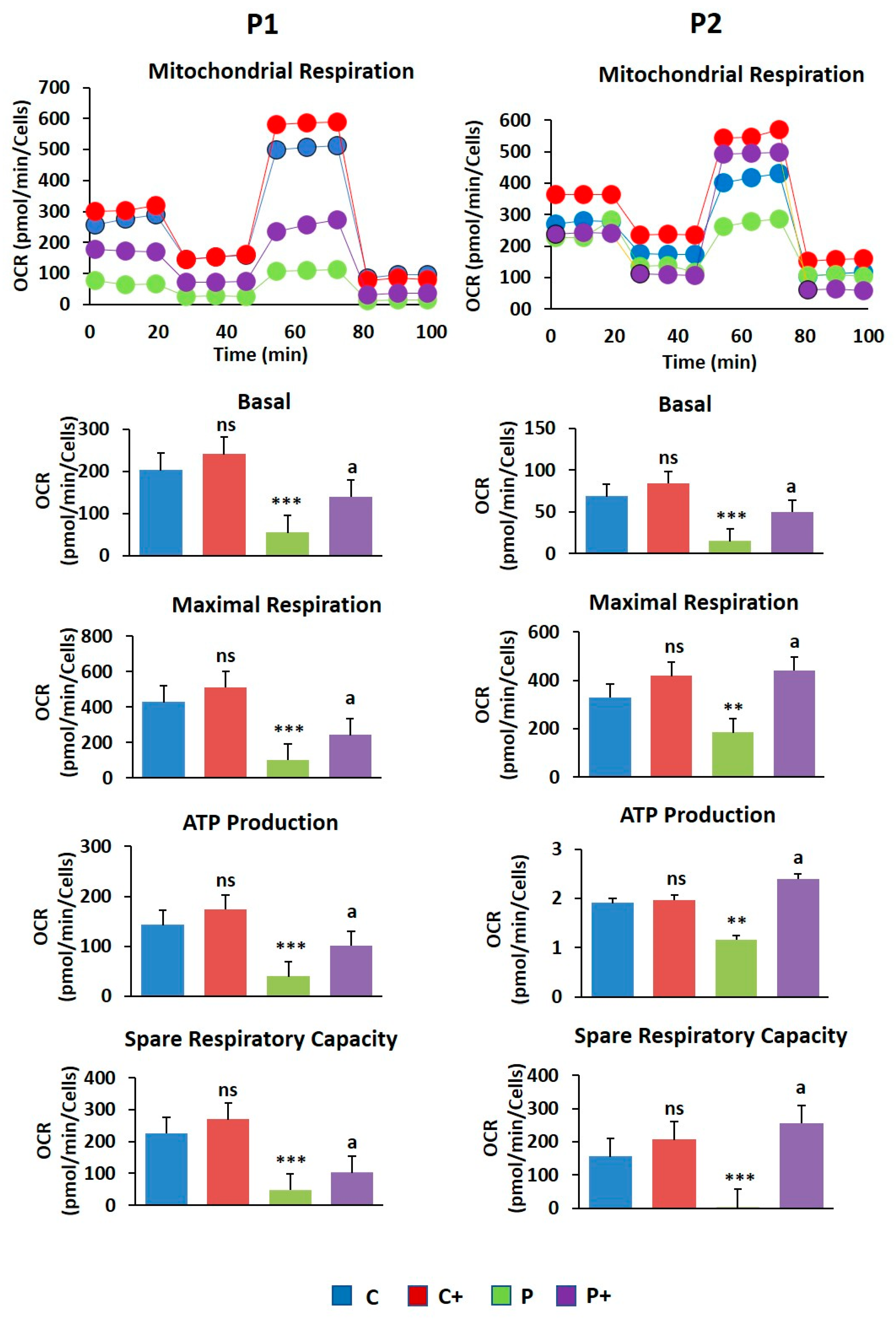 Ijms 26 01315 g009 Ijms 26 01315 g009