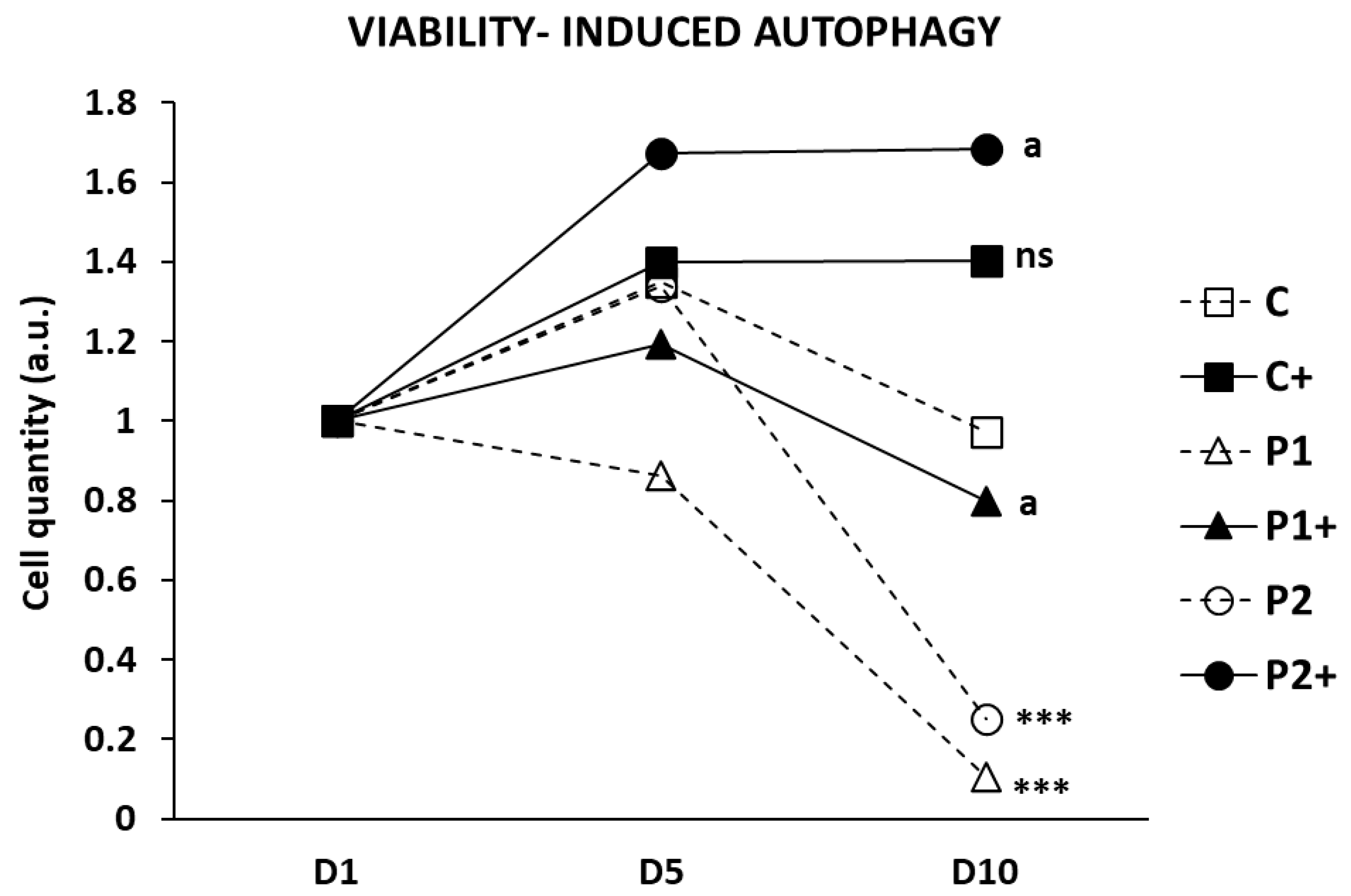 Ijms 26 01315 g012 Ijms 26 01315 g012