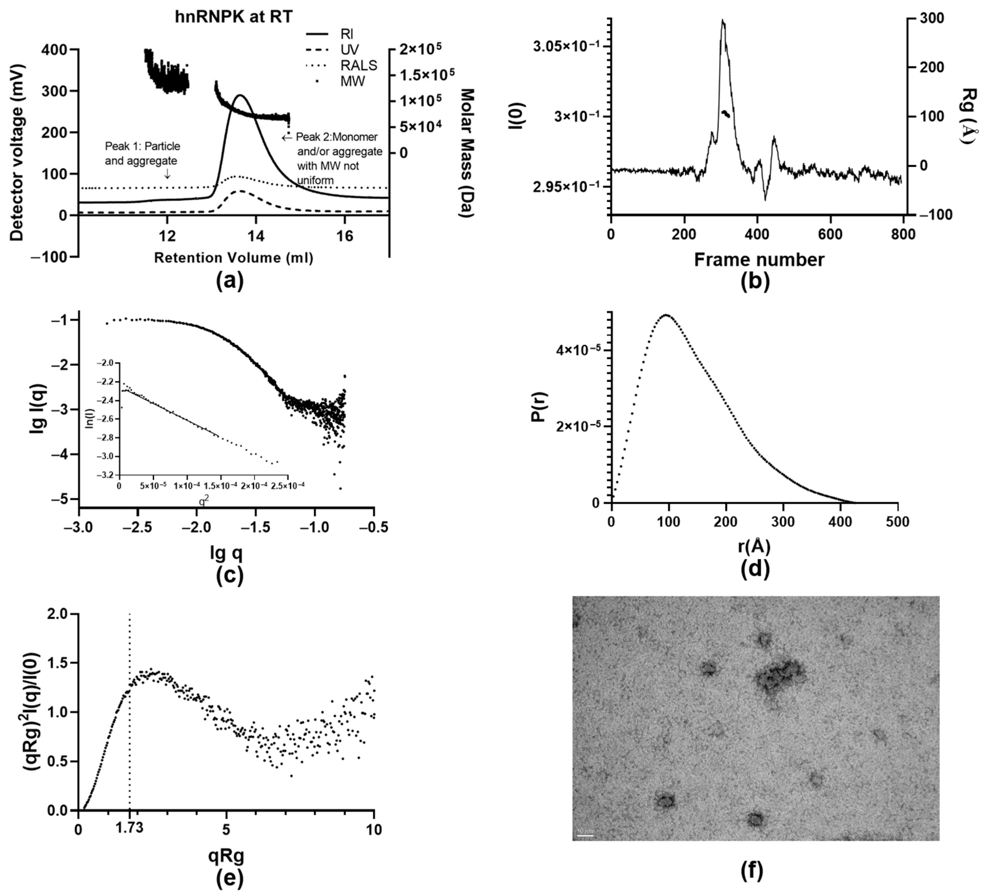 Ijms 26 01356 g005