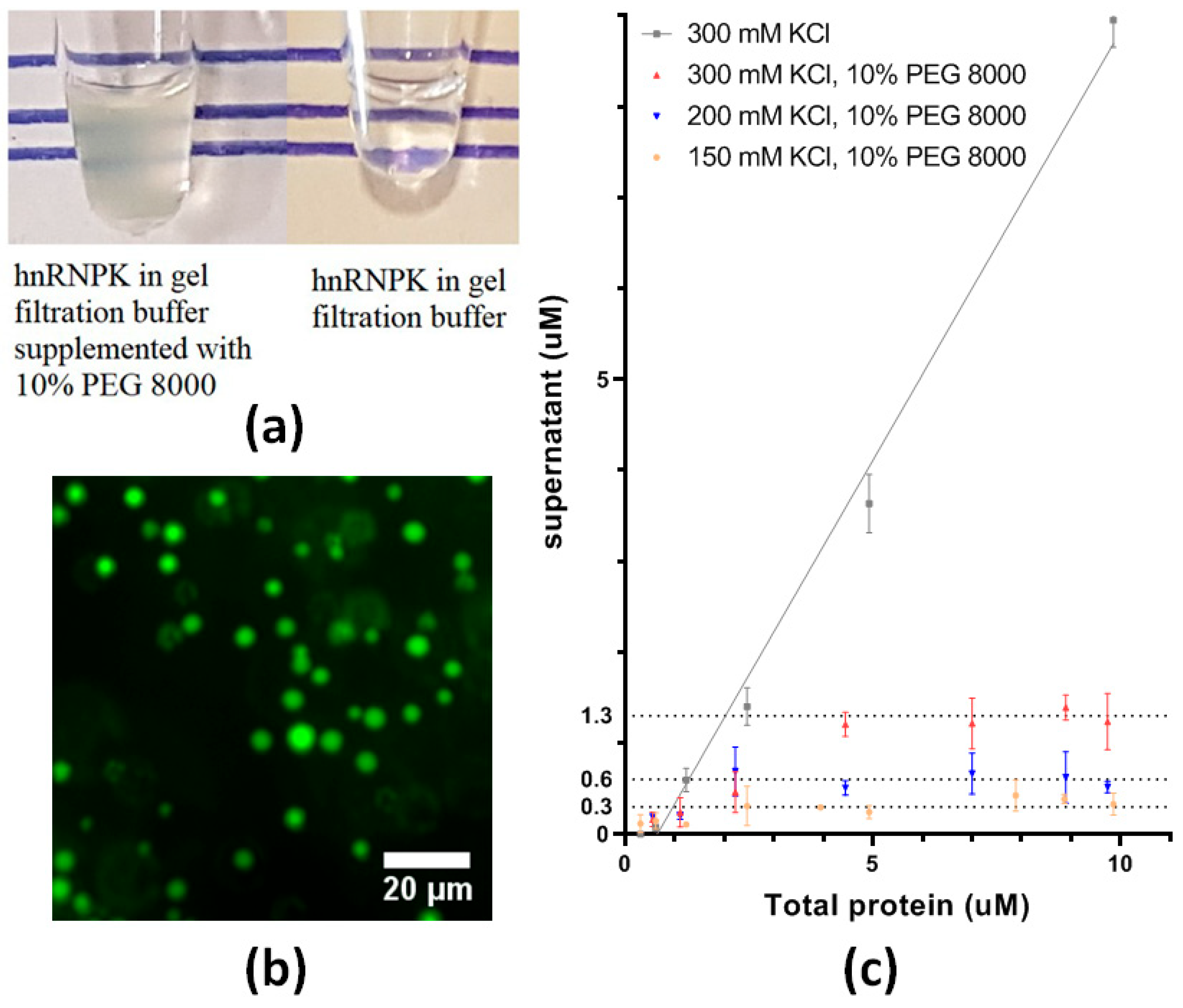 Ijms 26 01356 g008