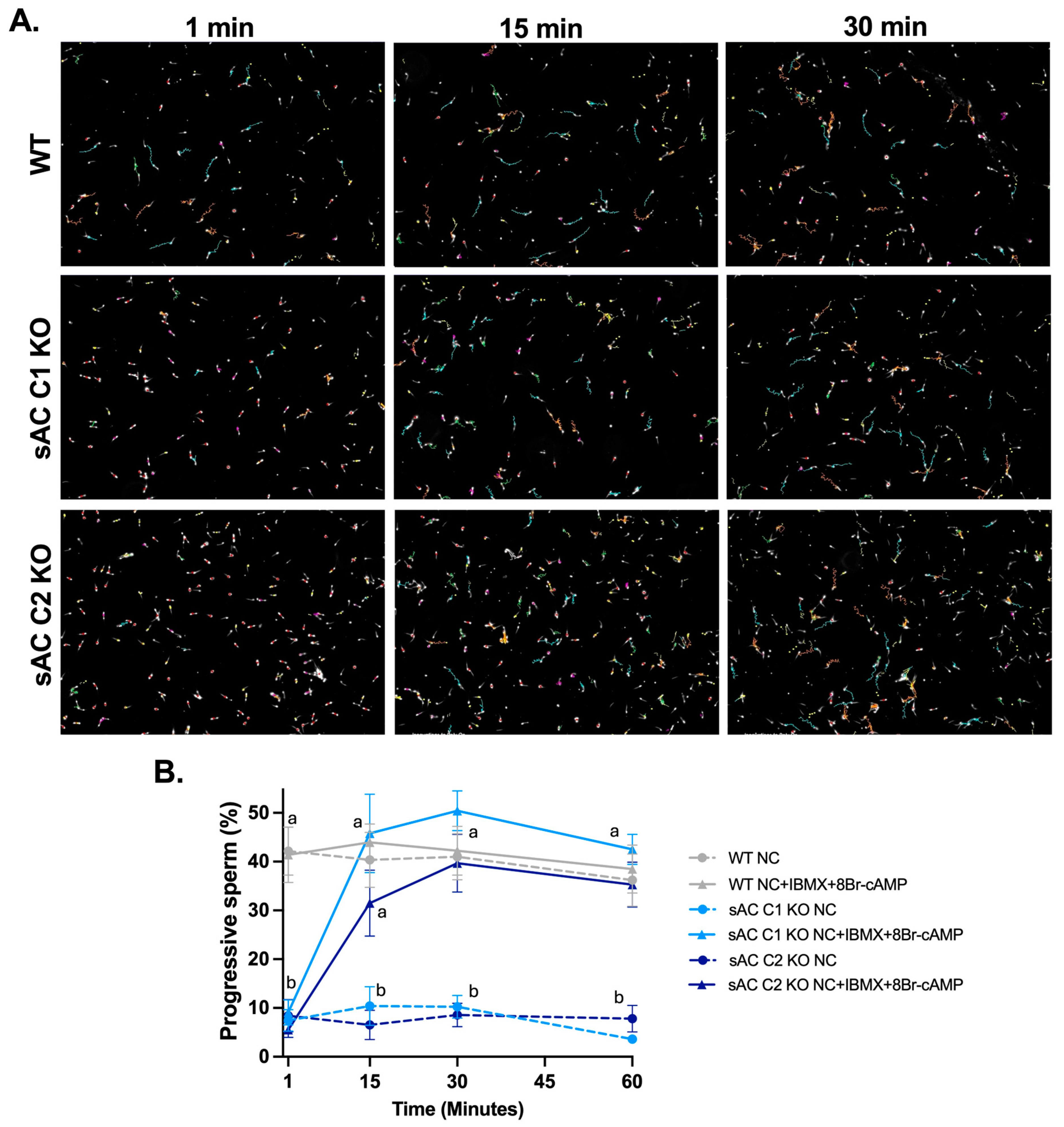 Ijms 26 01489 g002 Ijms 26 01489 g002