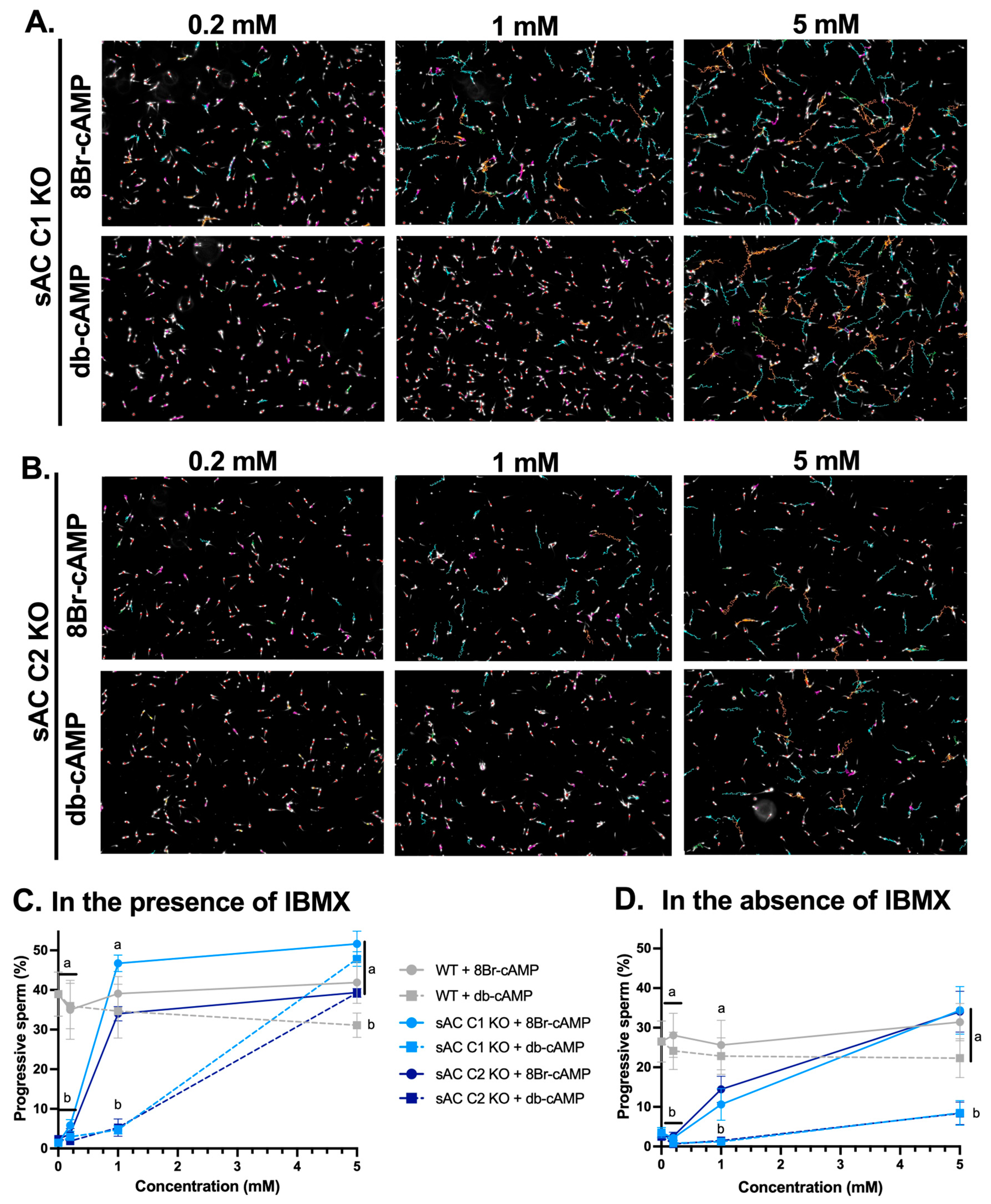 Ijms 26 01489 g003 Ijms 26 01489 g003