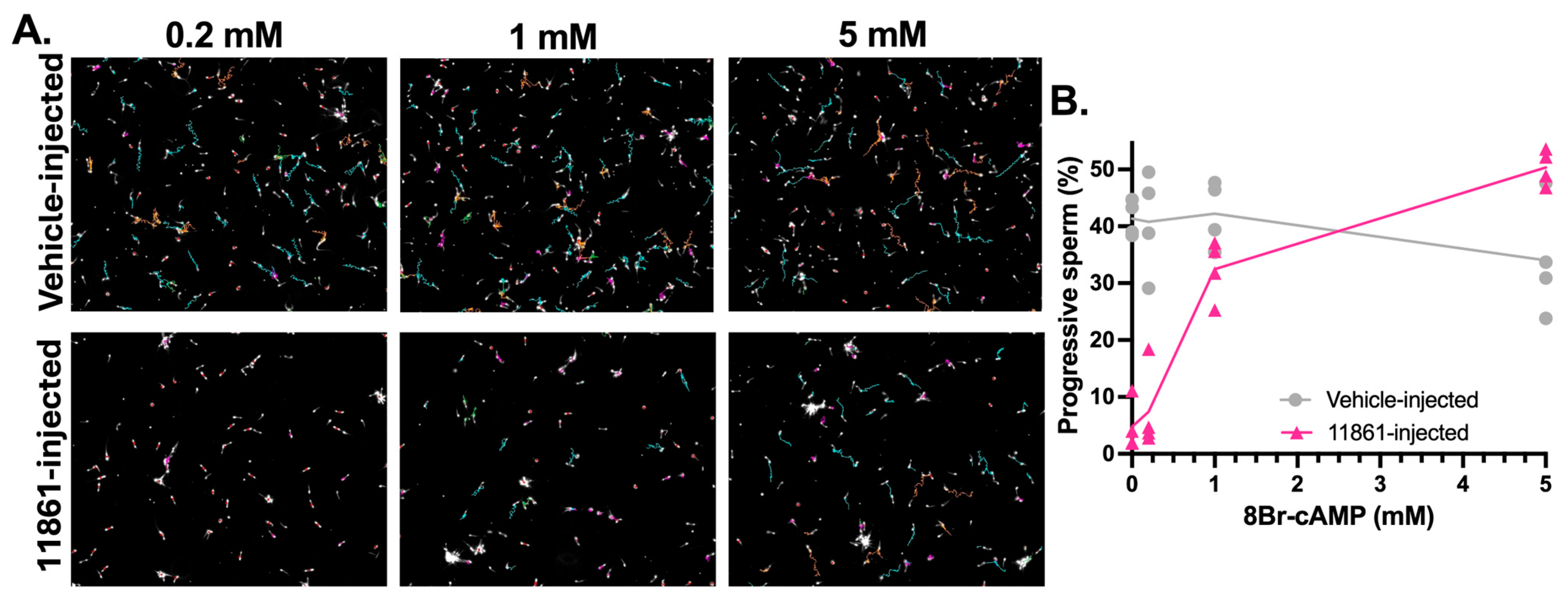 Ijms 26 01489 g004 Ijms 26 01489 g004