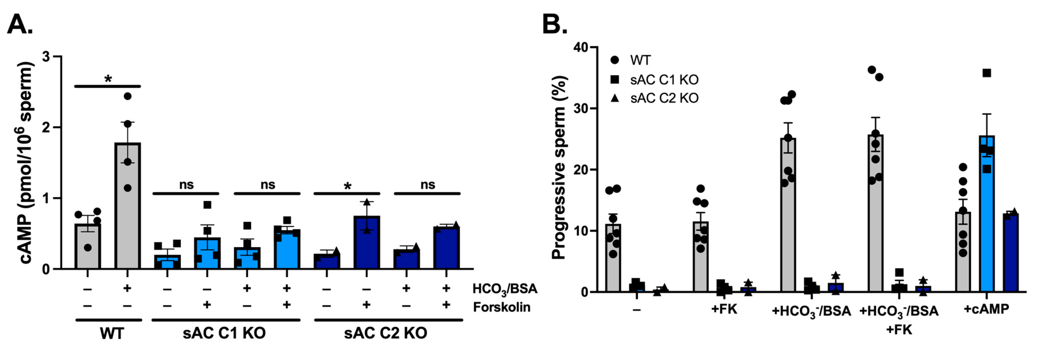 Ijms 26 01489 g005 Ijms 26 01489 g005