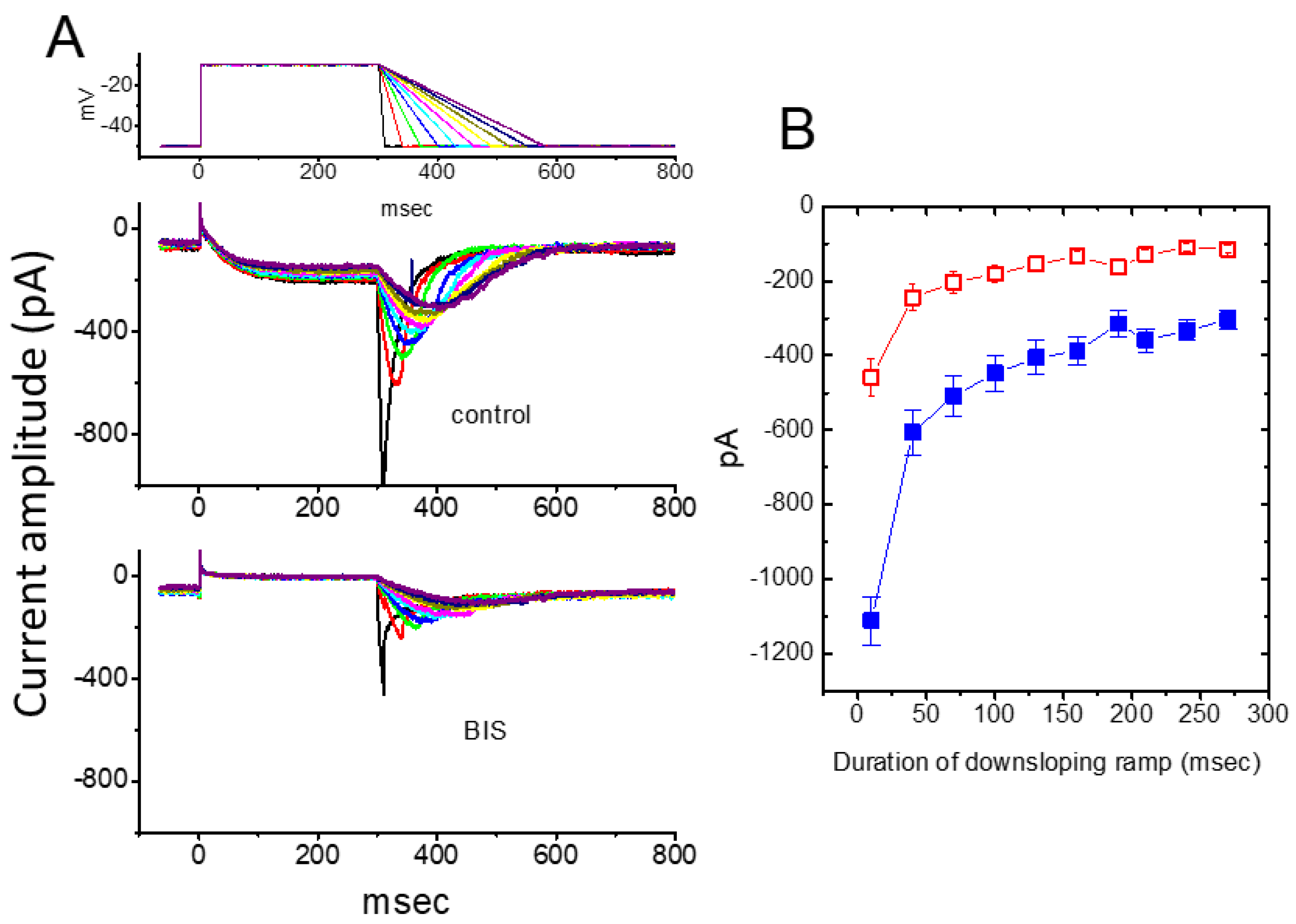 Ijms 26 01504 g004 Ijms 26 01504 g004