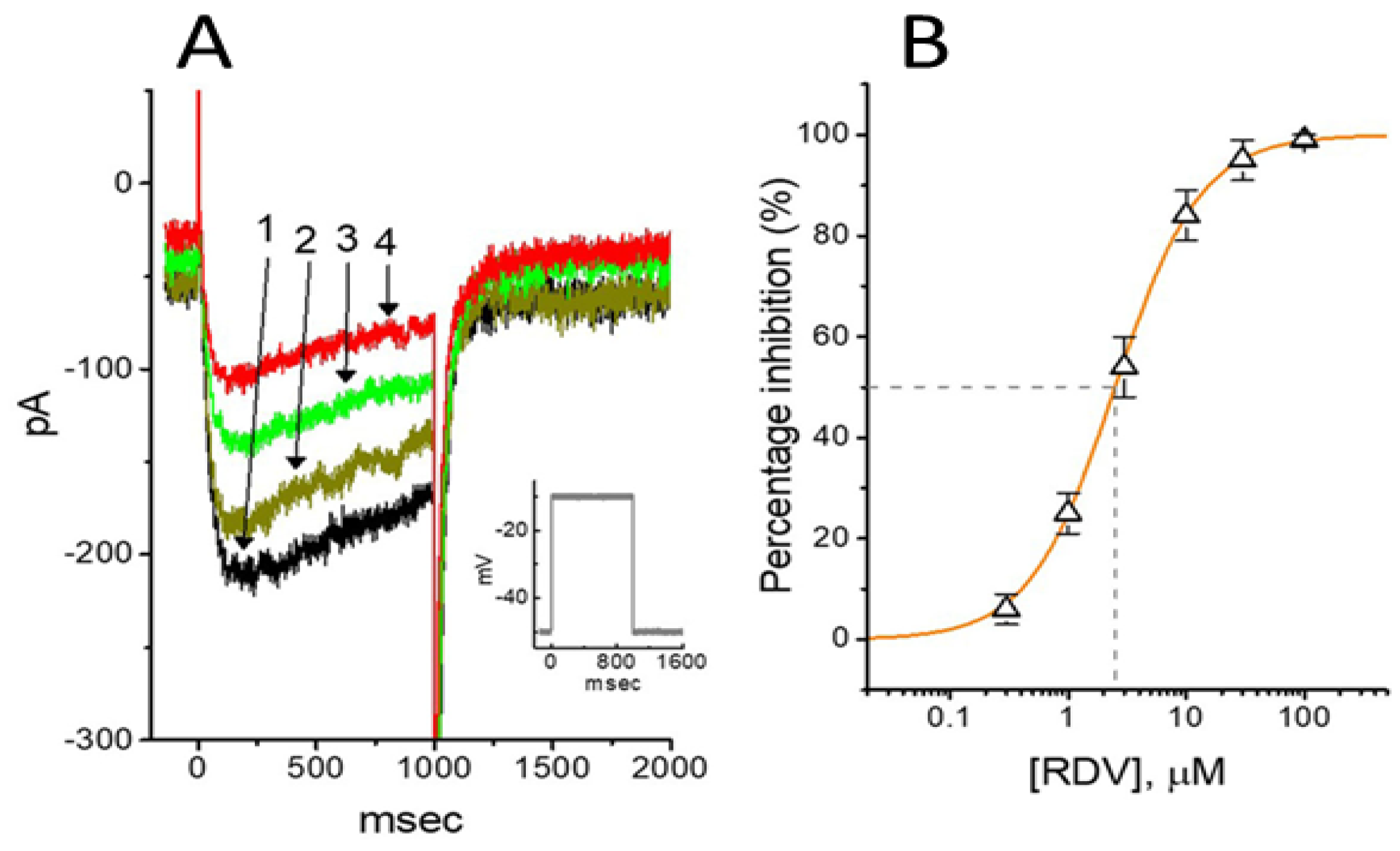Ijms 26 01504 g006 Ijms 26 01504 g006