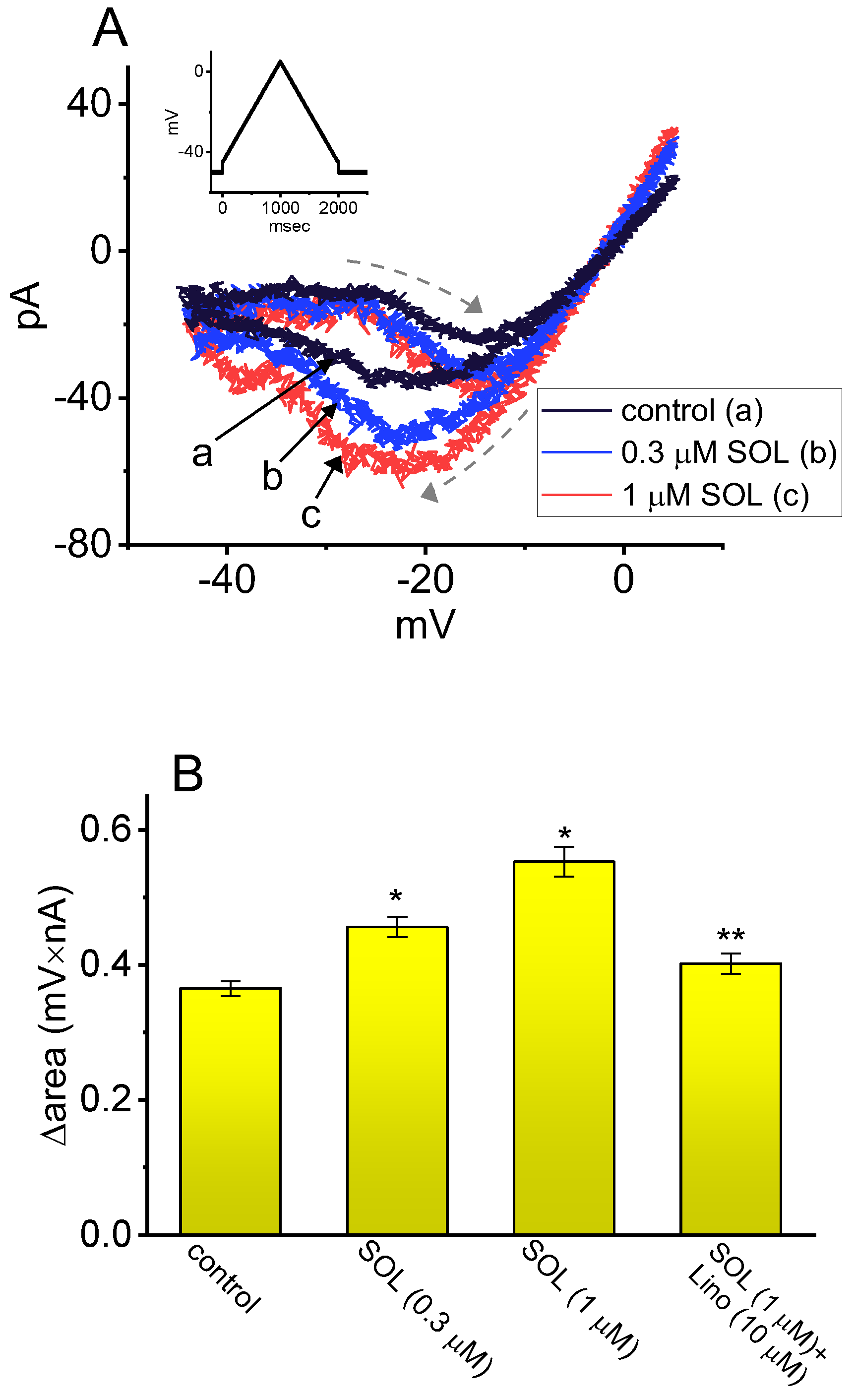 Ijms 26 01504 g007 Ijms 26 01504 g007