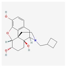 Ijms 26 01504 i004 Ijms 26 01504 i004