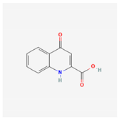 Ijms 26 01504 i007 Ijms 26 01504 i007