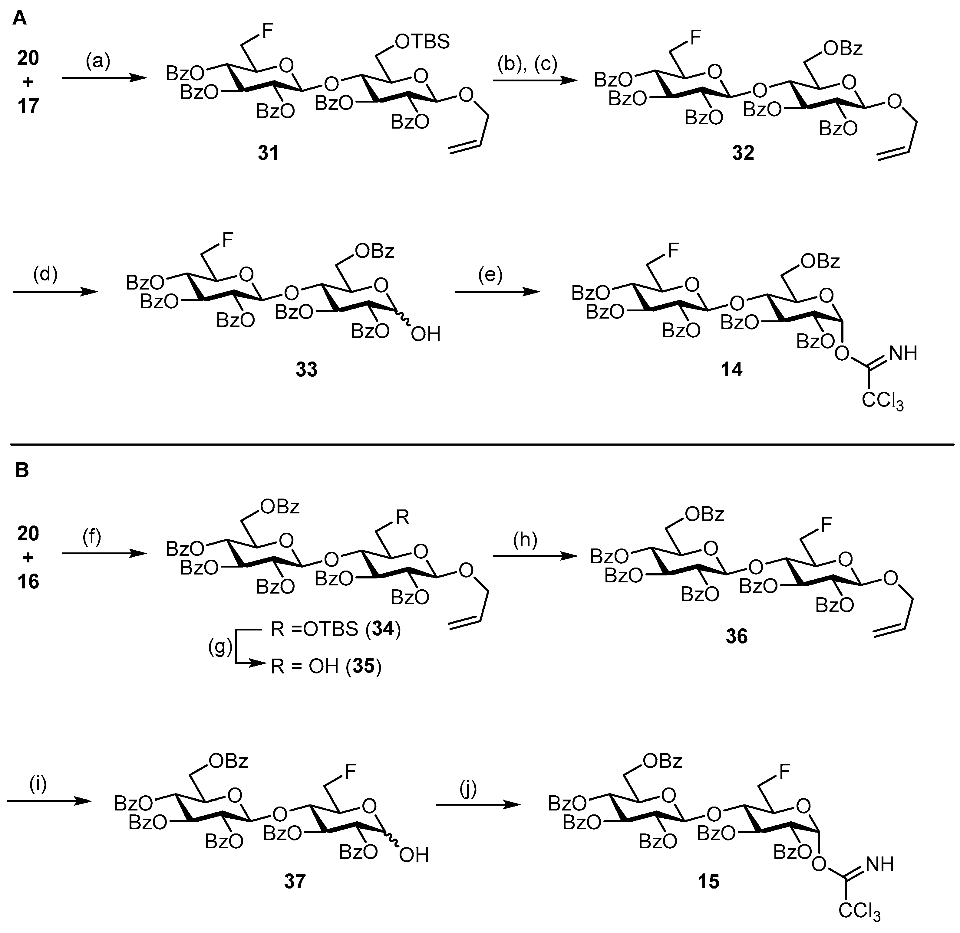 Ijms 26 01535 sch004