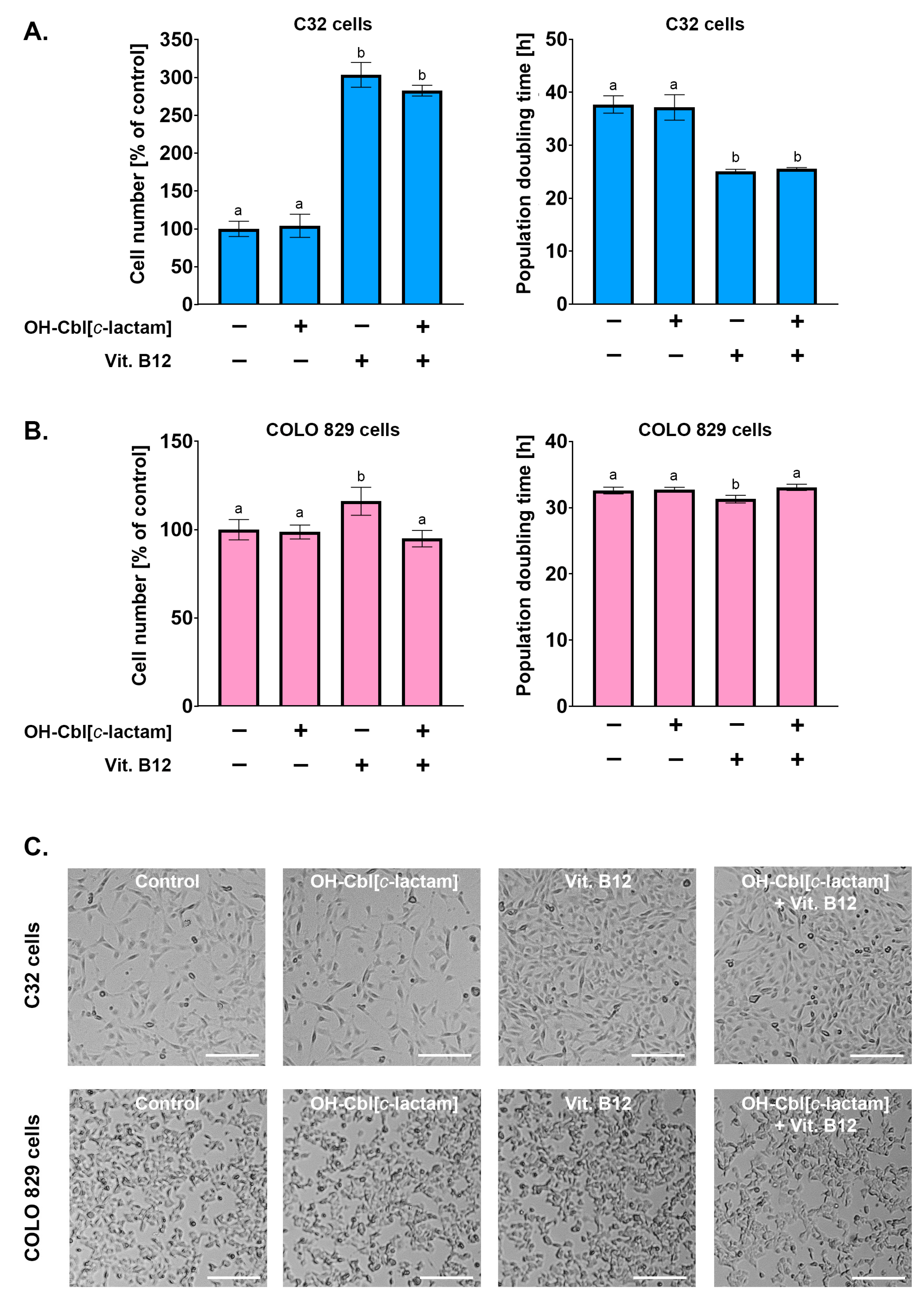Ijms 26 01540 g003