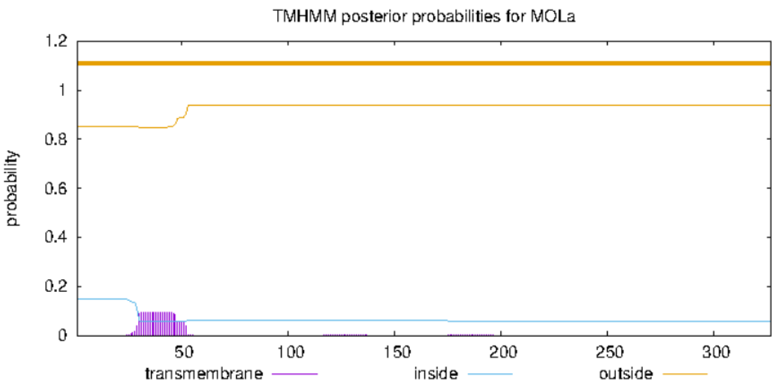 Ijms 26 01647 g009 Ijms 26 01647 g009