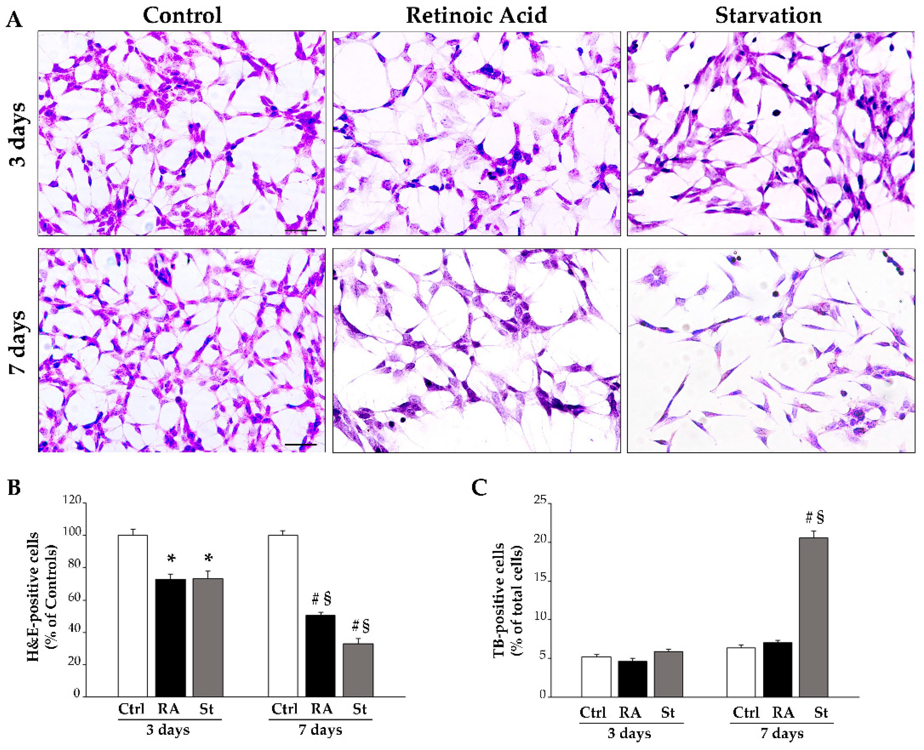 Ijms 26 01691 g001 Ijms 26 01691 g001