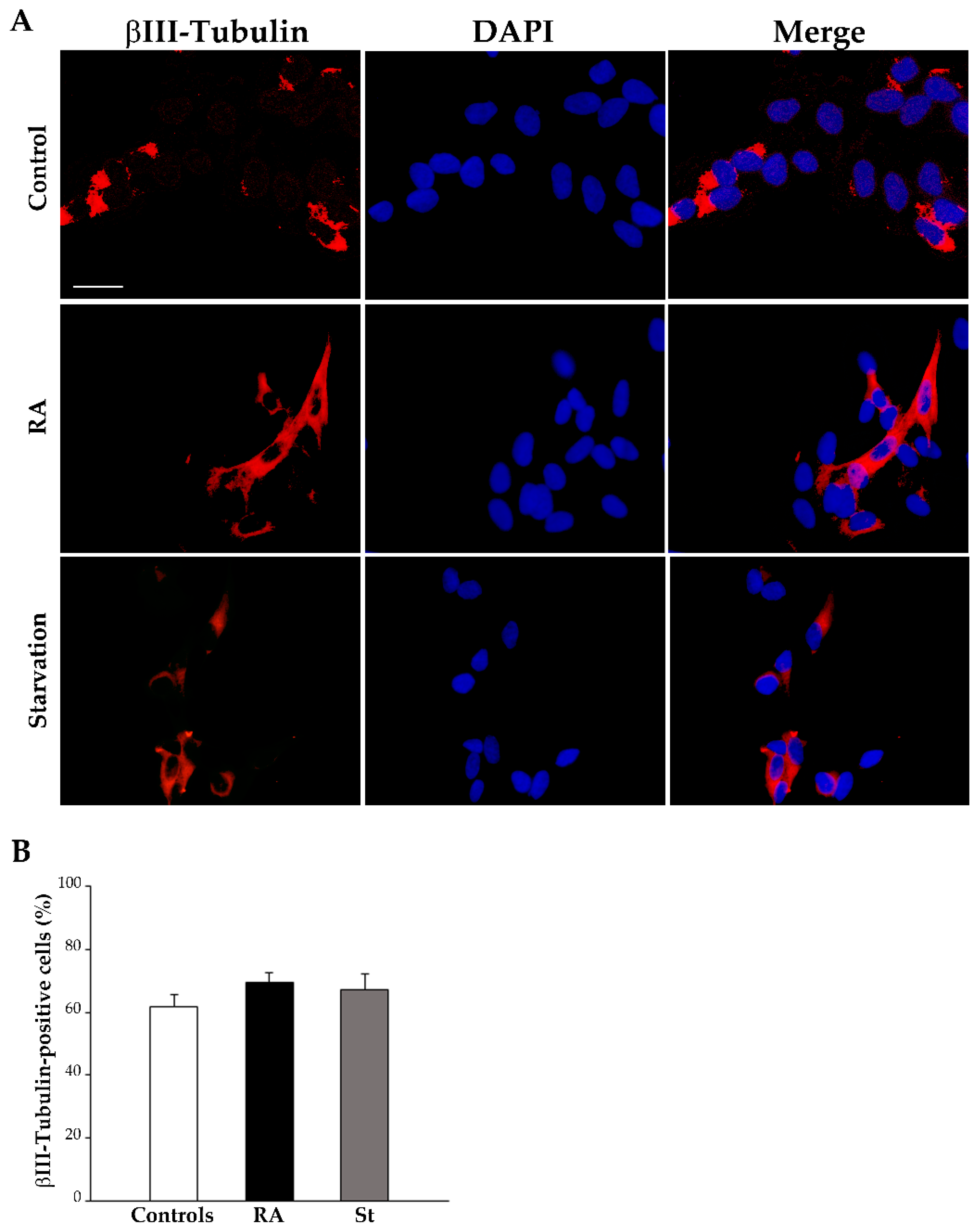 Ijms 26 01691 g006 Ijms 26 01691 g006