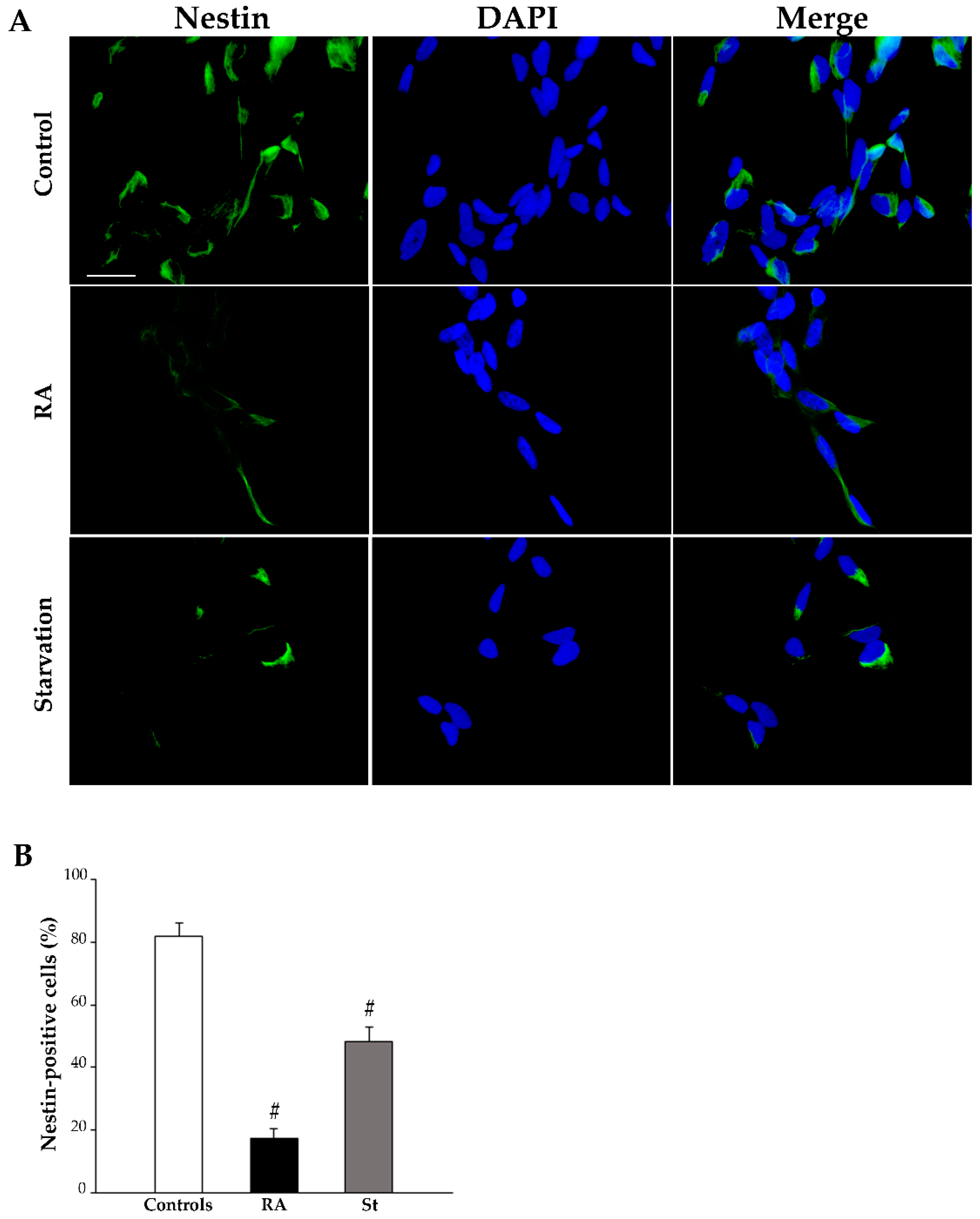Ijms 26 01691 g008 Ijms 26 01691 g008
