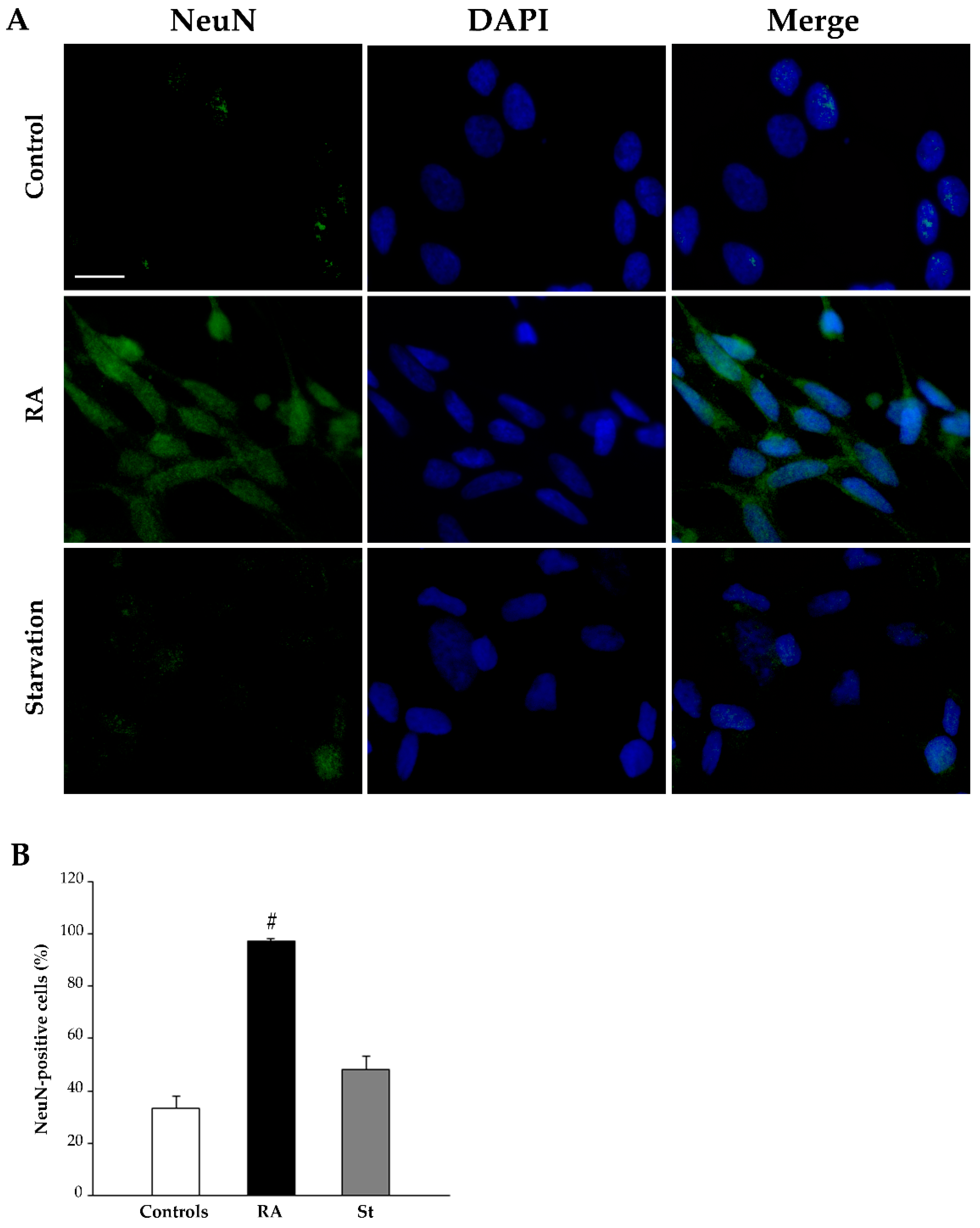 Ijms 26 01691 g010 Ijms 26 01691 g010