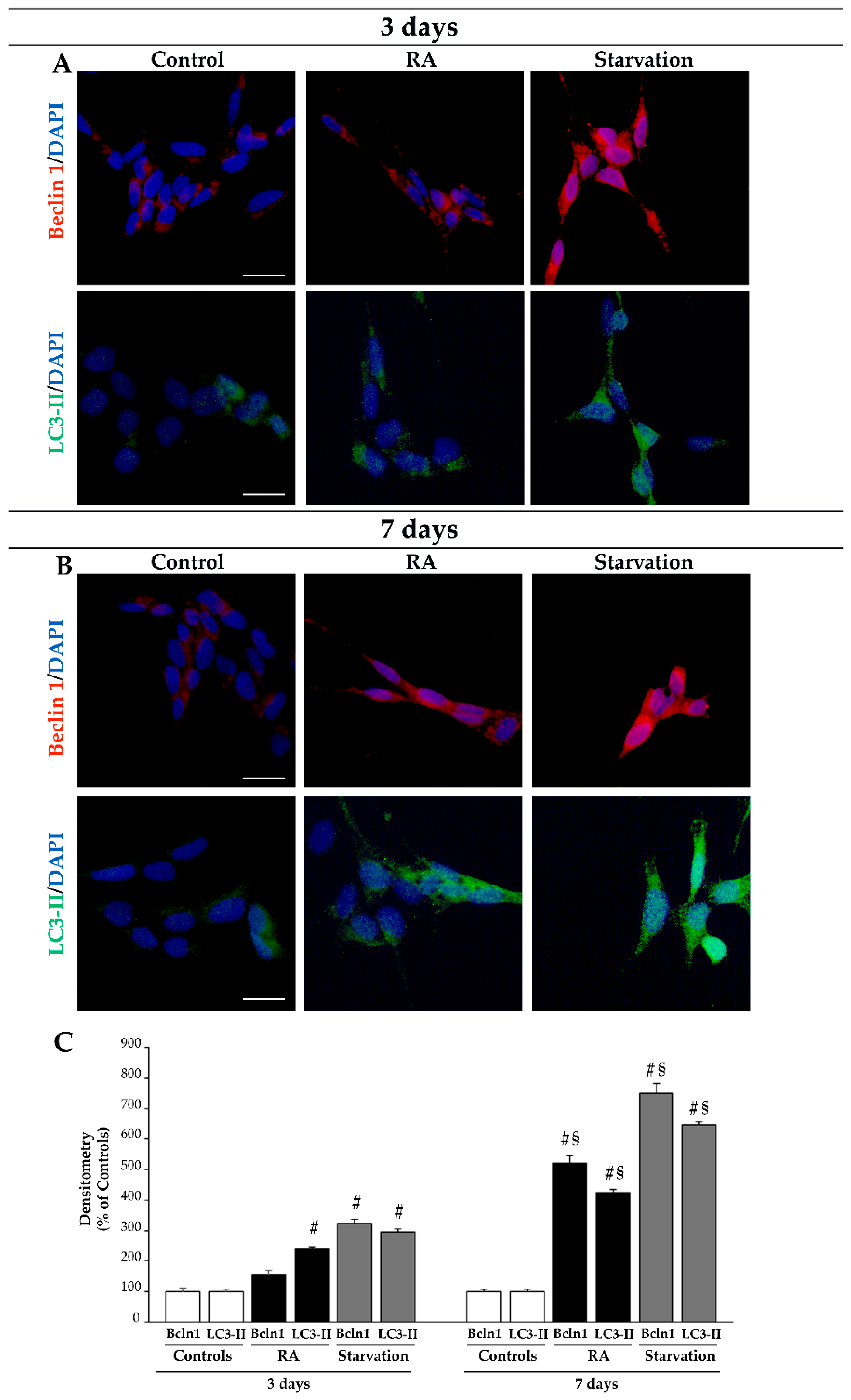 Ijms 26 01691 g011 Ijms 26 01691 g011