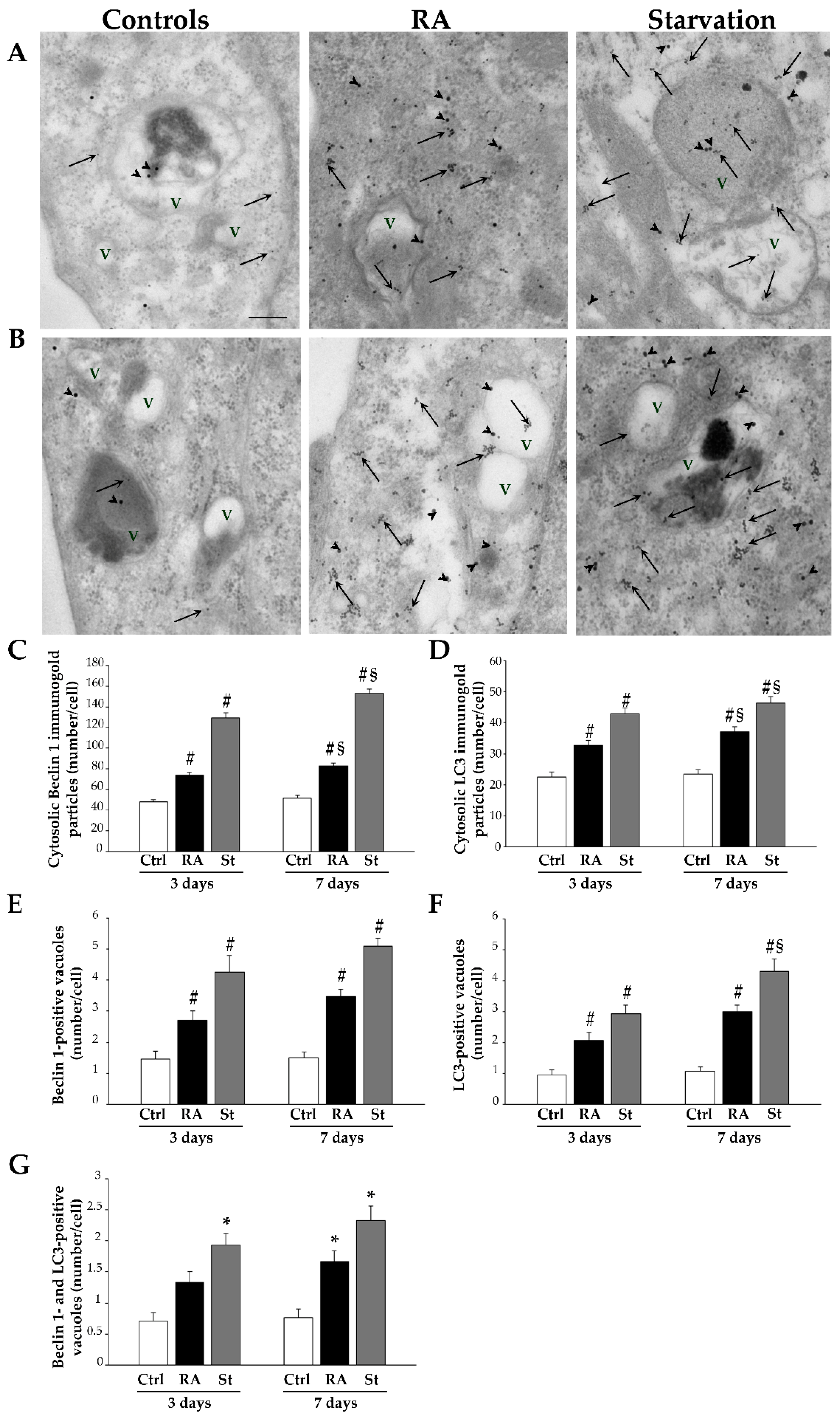 Ijms 26 01691 g015 Ijms 26 01691 g015