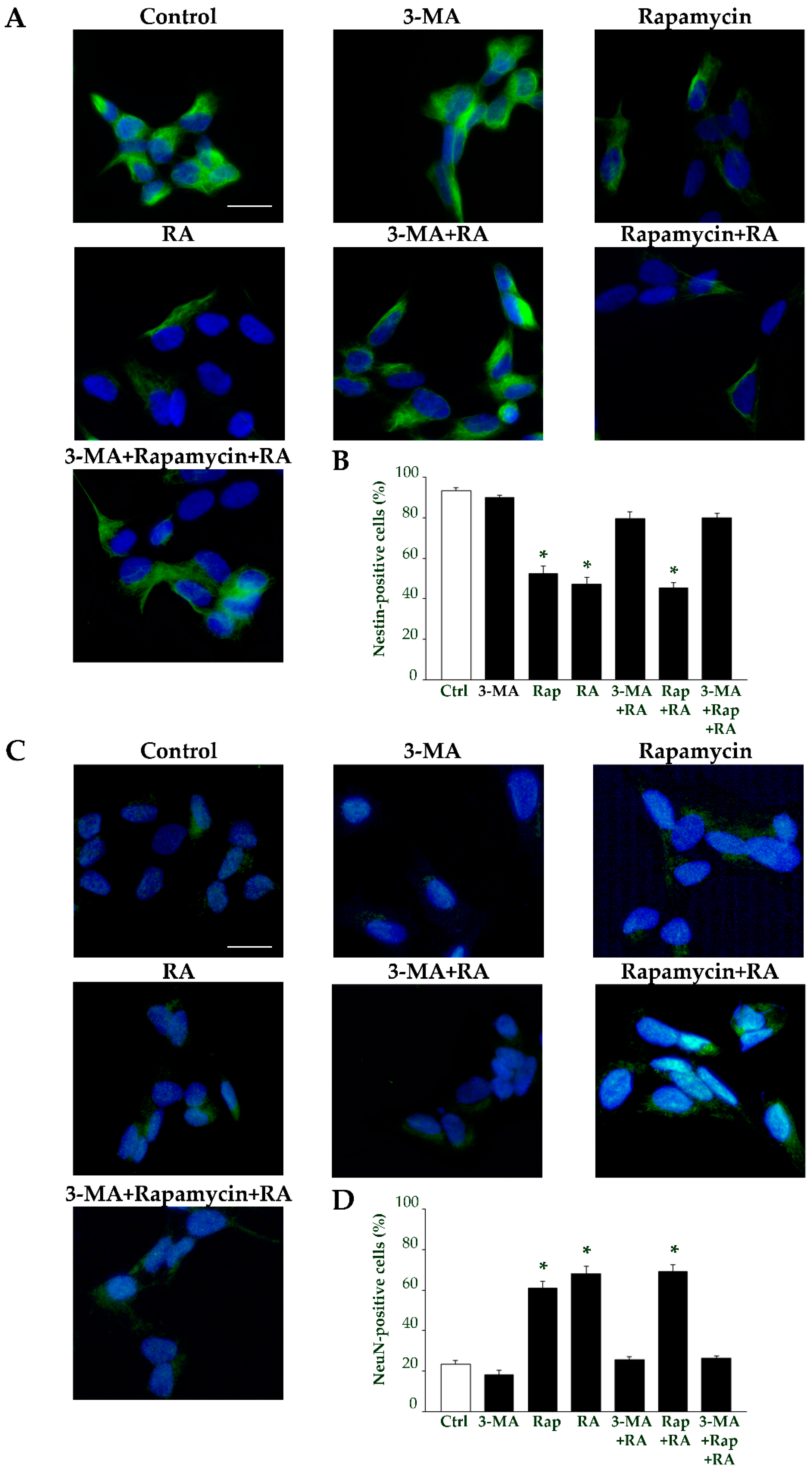 Ijms 26 01691 g017 Ijms 26 01691 g017