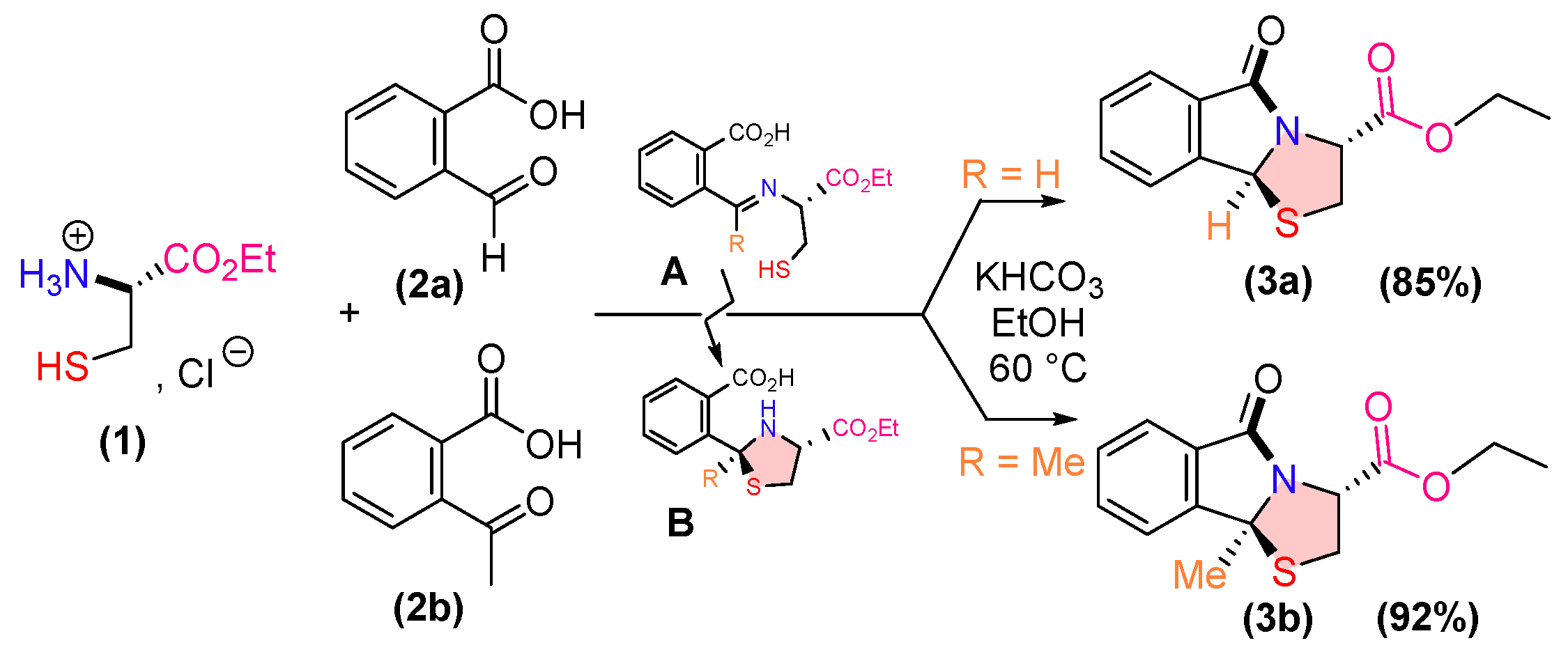 Ijms 26 01717 sch001