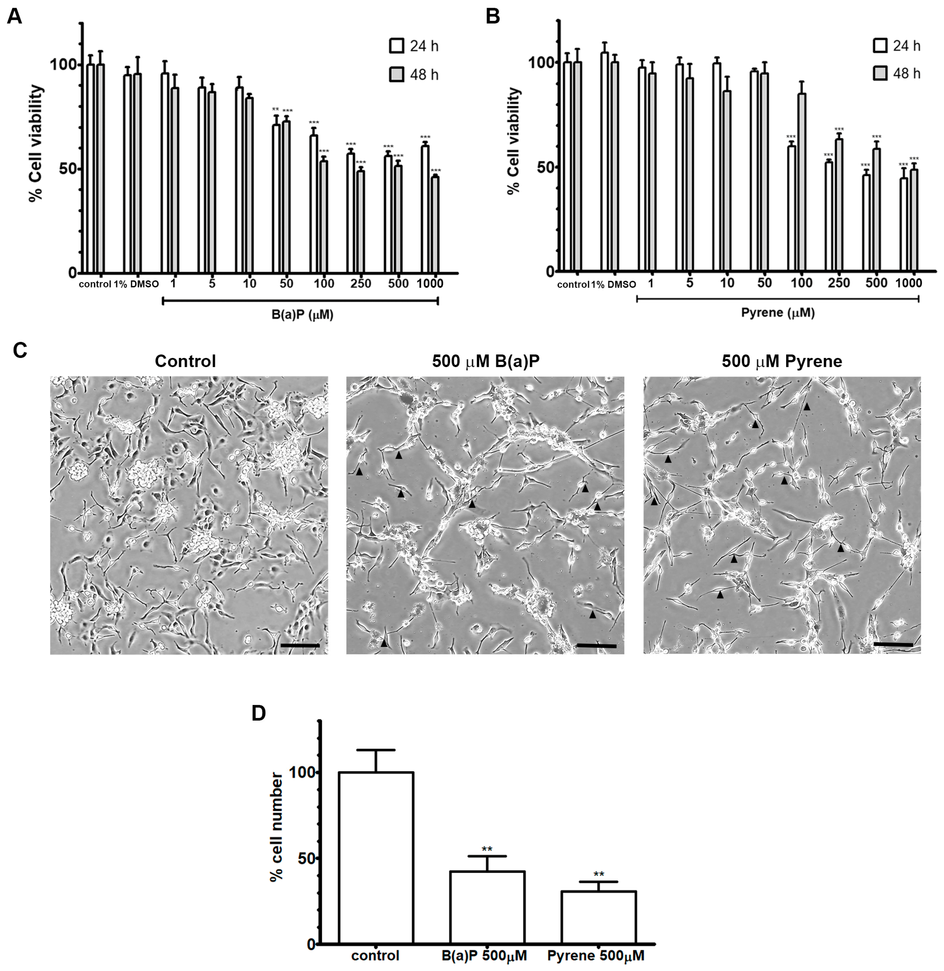 Ijms 26 01748 g002