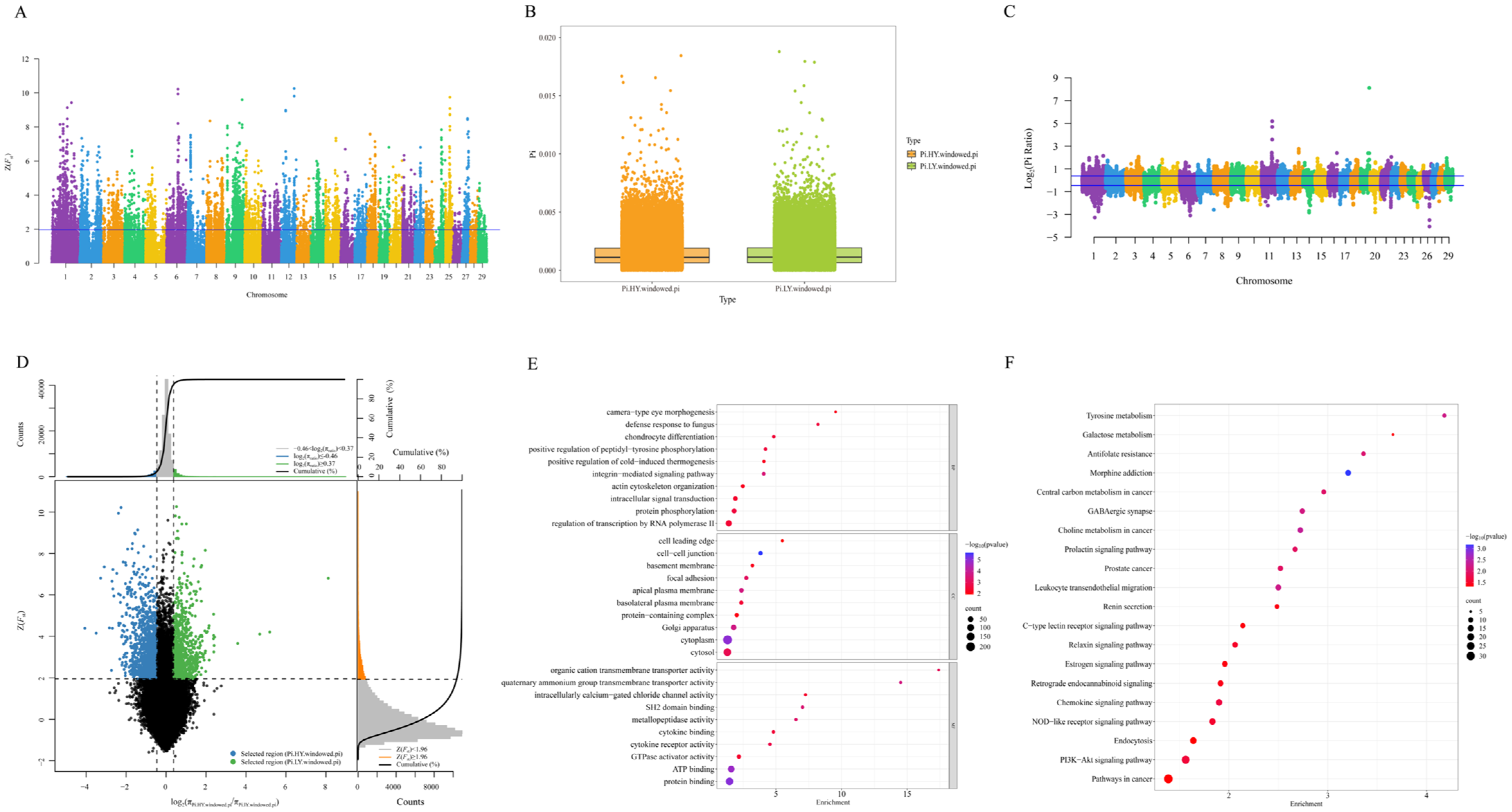 Ijms 26 02003 g005 Ijms 26 02003 g005