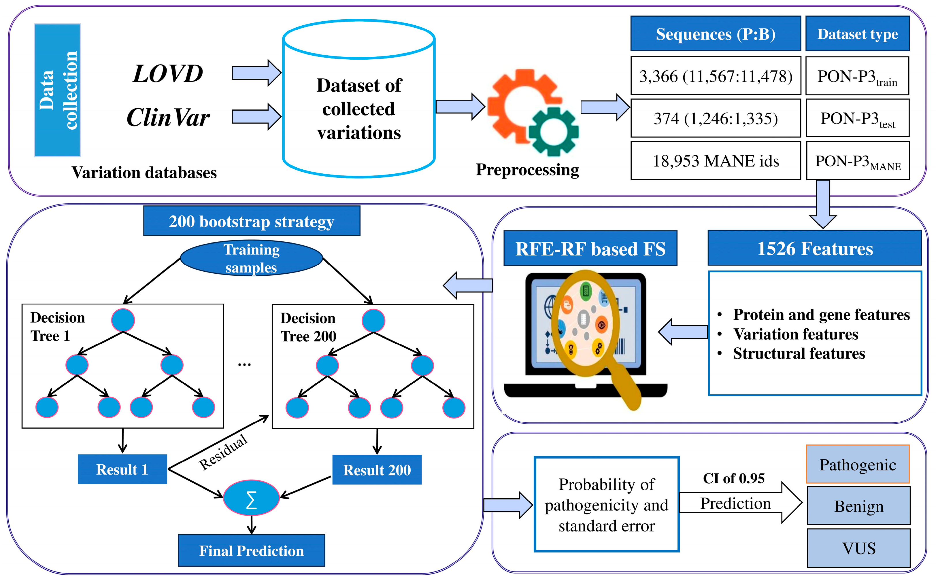 Ijms 26 02004 g001 Ijms 26 02004 g001