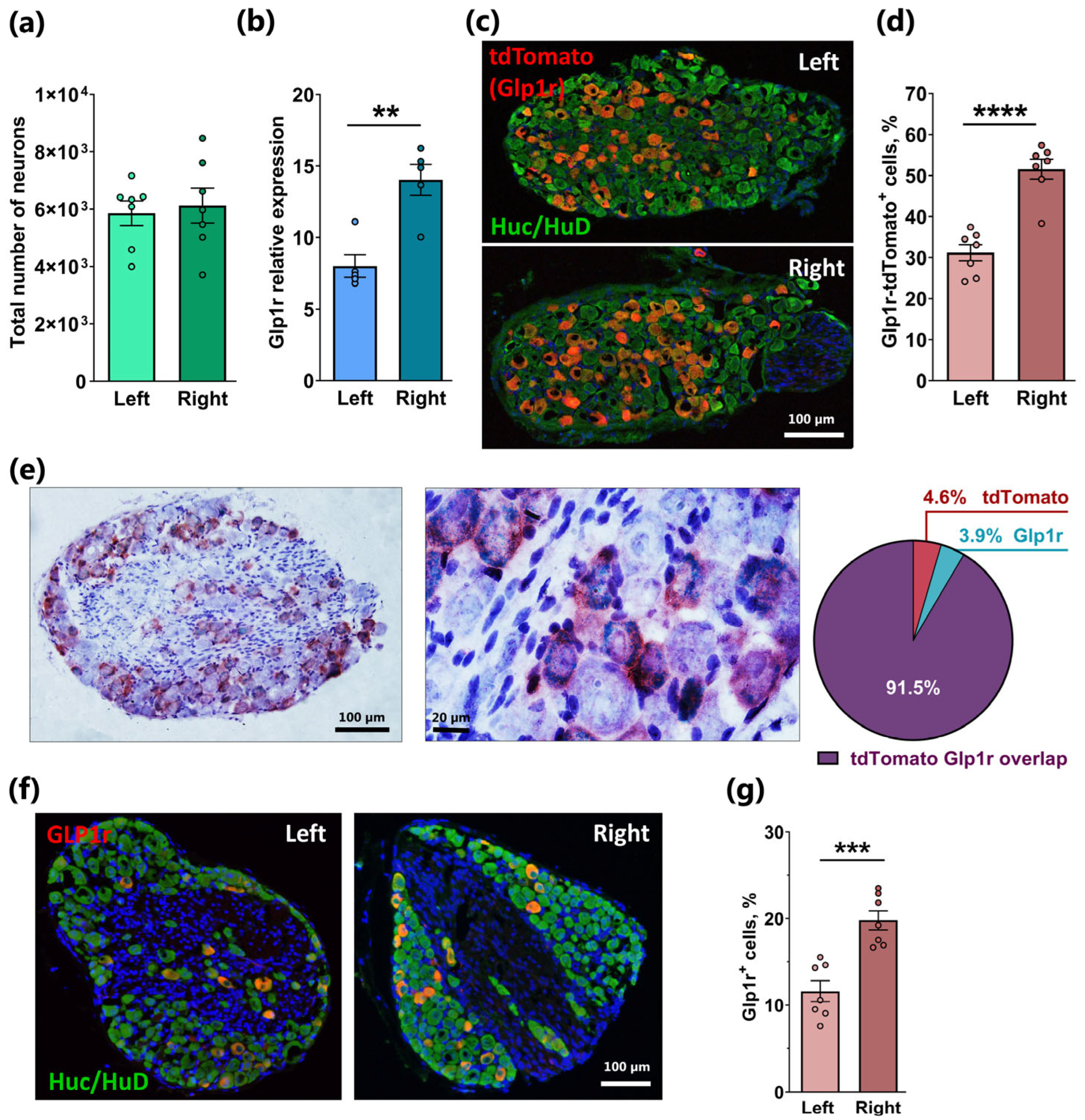 Ijms 26 02053 g001