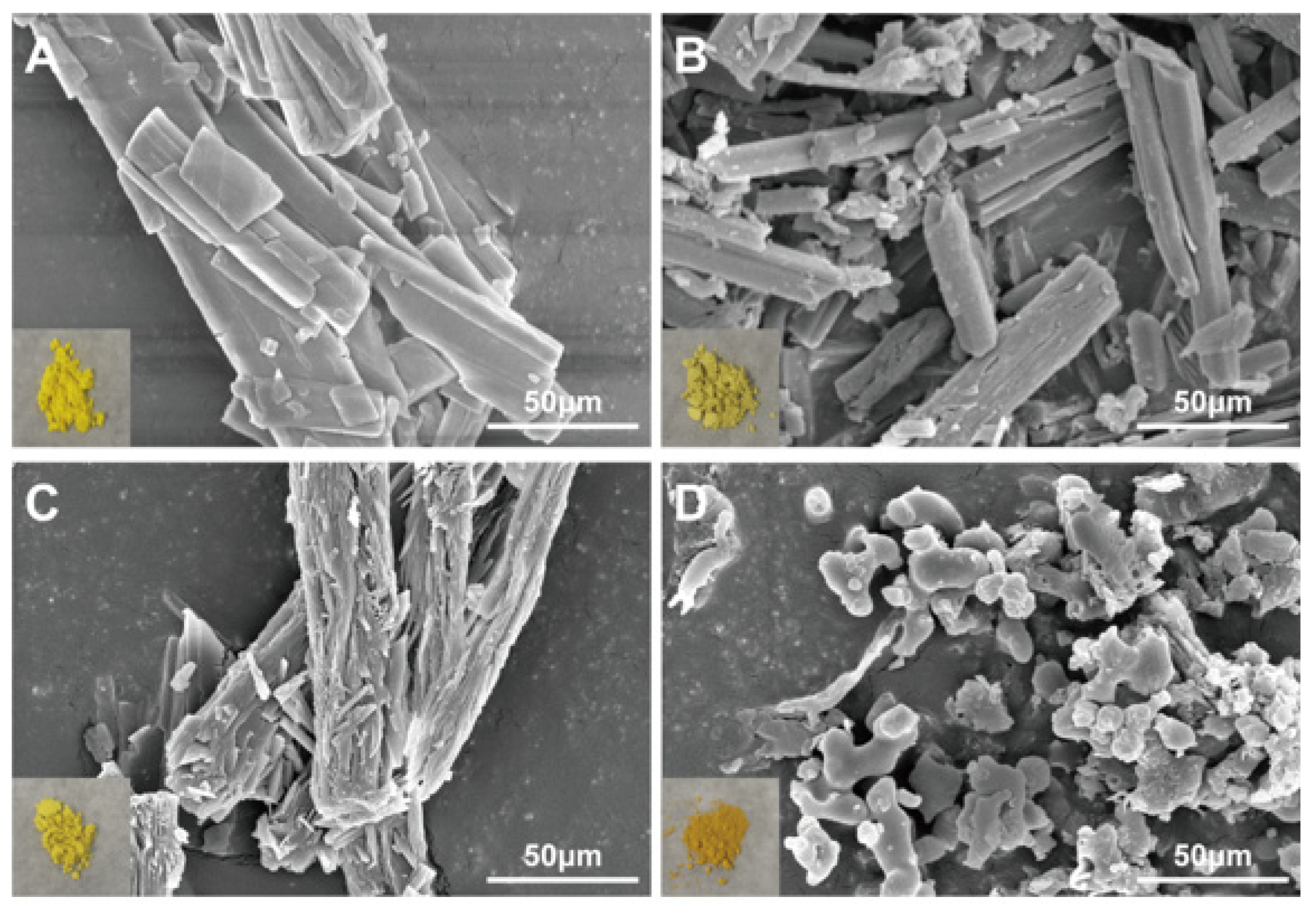 Ijms 26 02193 g002 Ijms 26 02193 g002