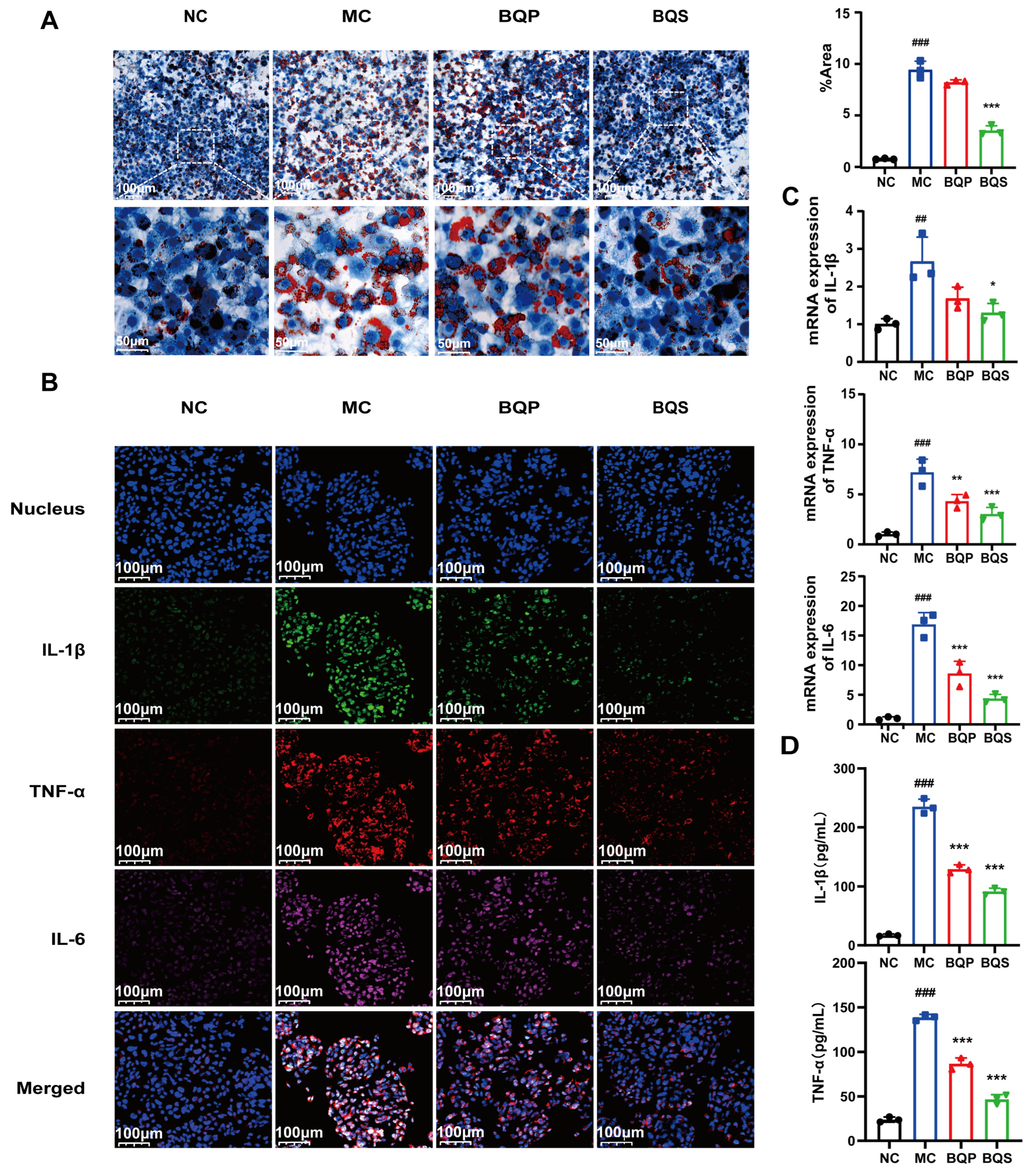 Ijms 26 02193 g004 Ijms 26 02193 g004
