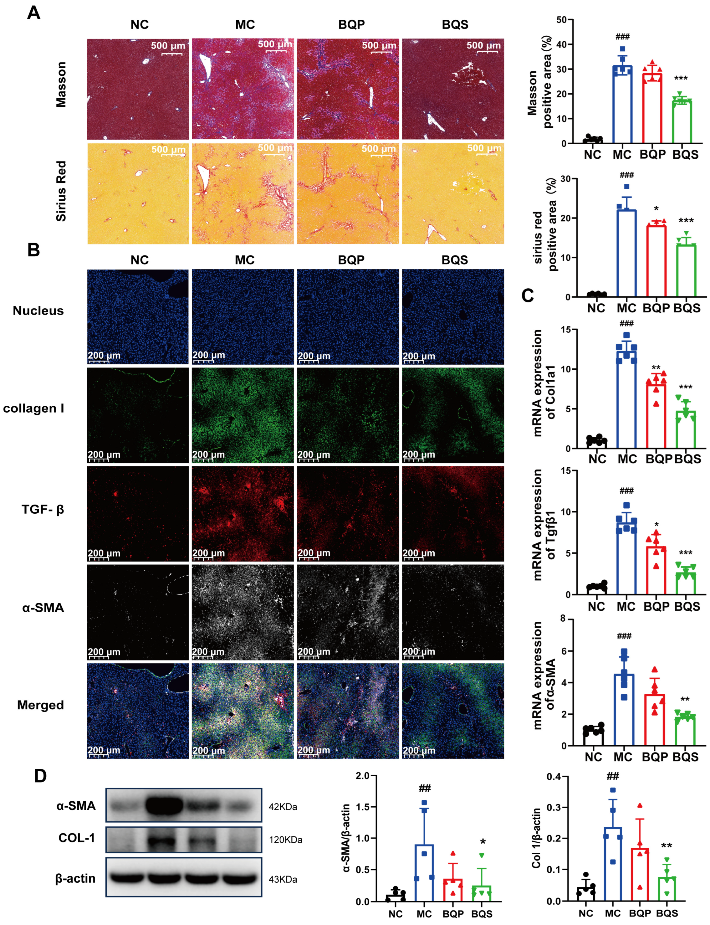 Ijms 26 02193 g007 Ijms 26 02193 g007