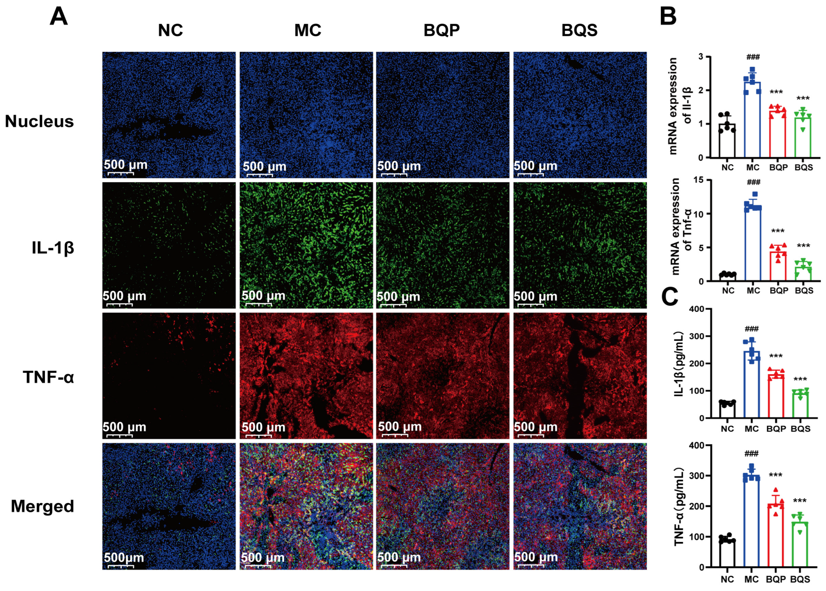 Ijms 26 02193 g008 Ijms 26 02193 g008