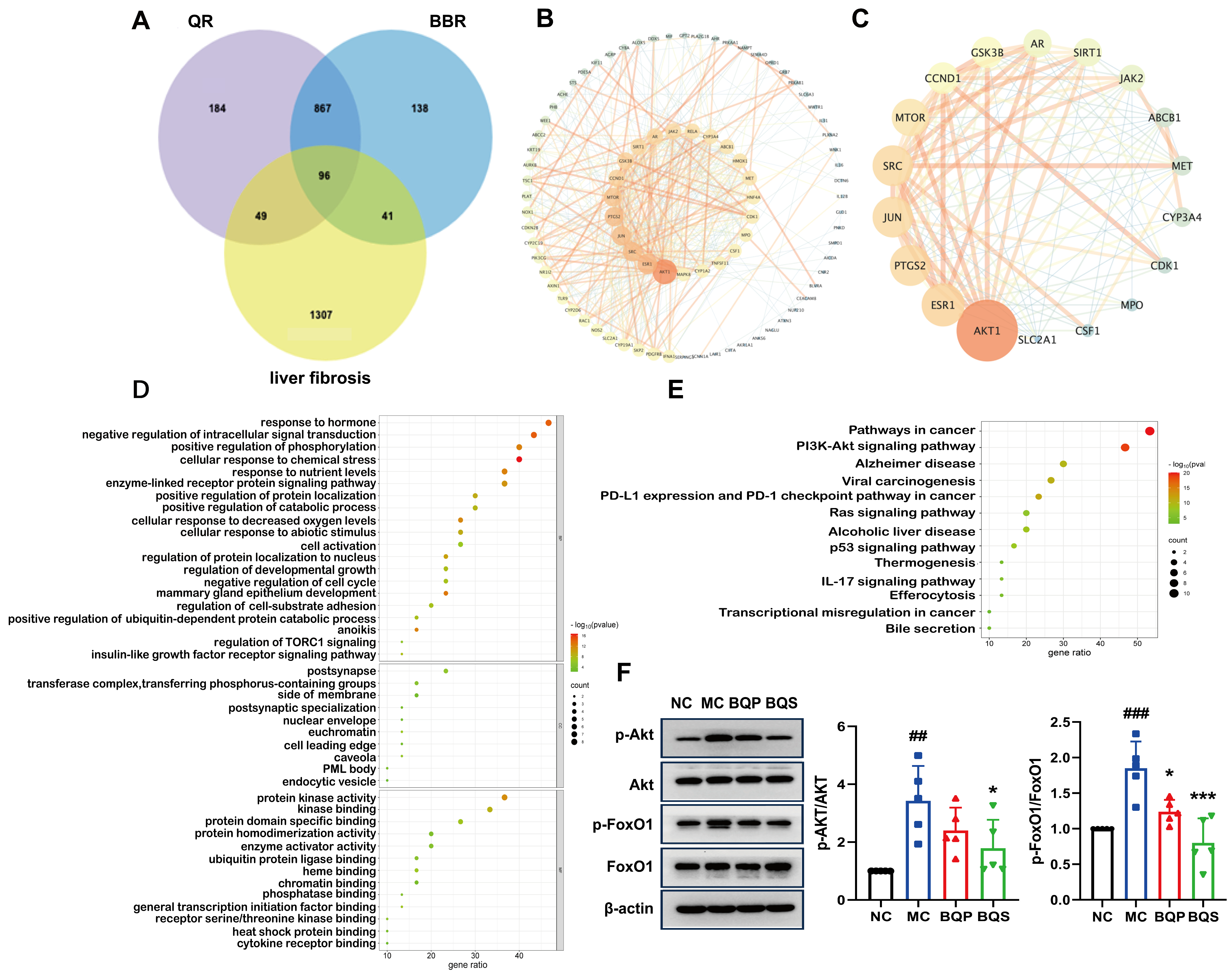Ijms 26 02193 g009 Ijms 26 02193 g009