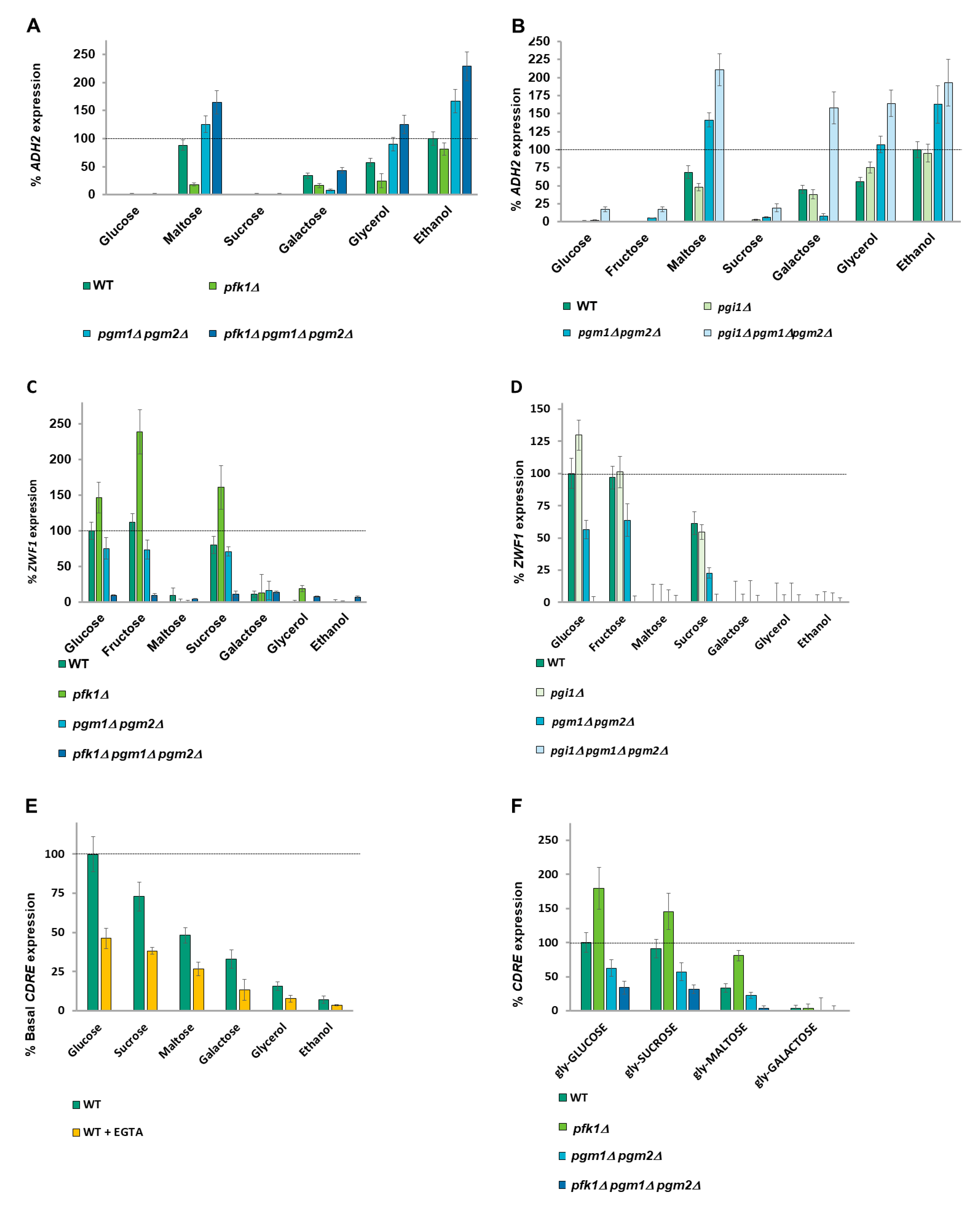 Ijms 26 02198 g002 Ijms 26 02198 g002