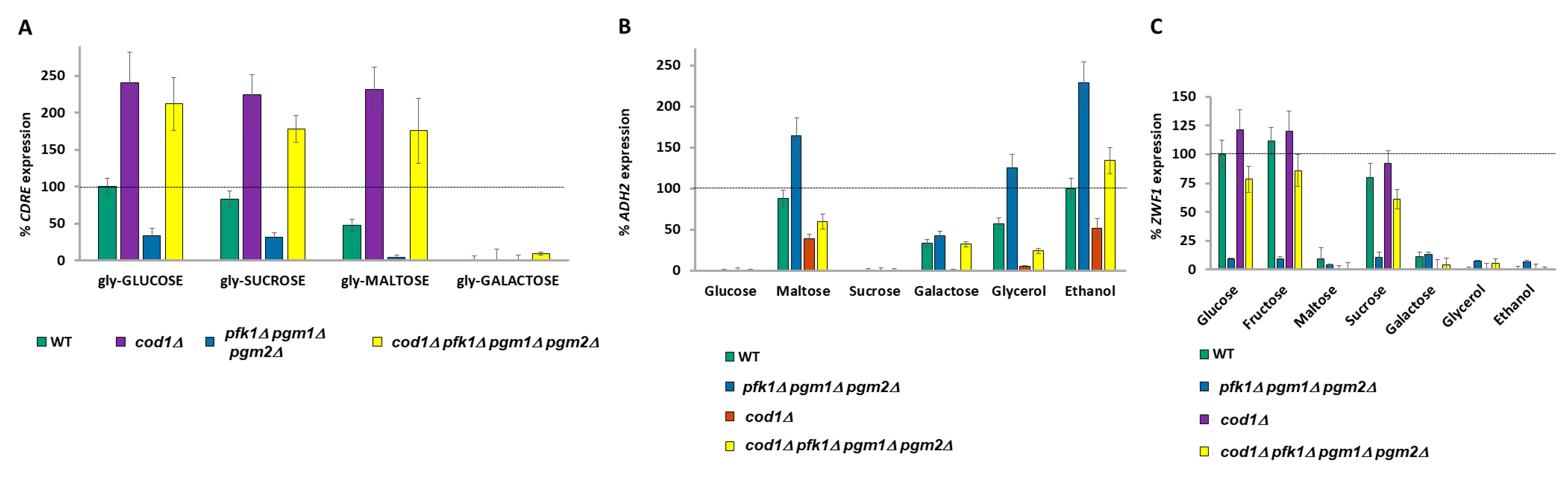 Ijms 26 02198 g004 Ijms 26 02198 g004