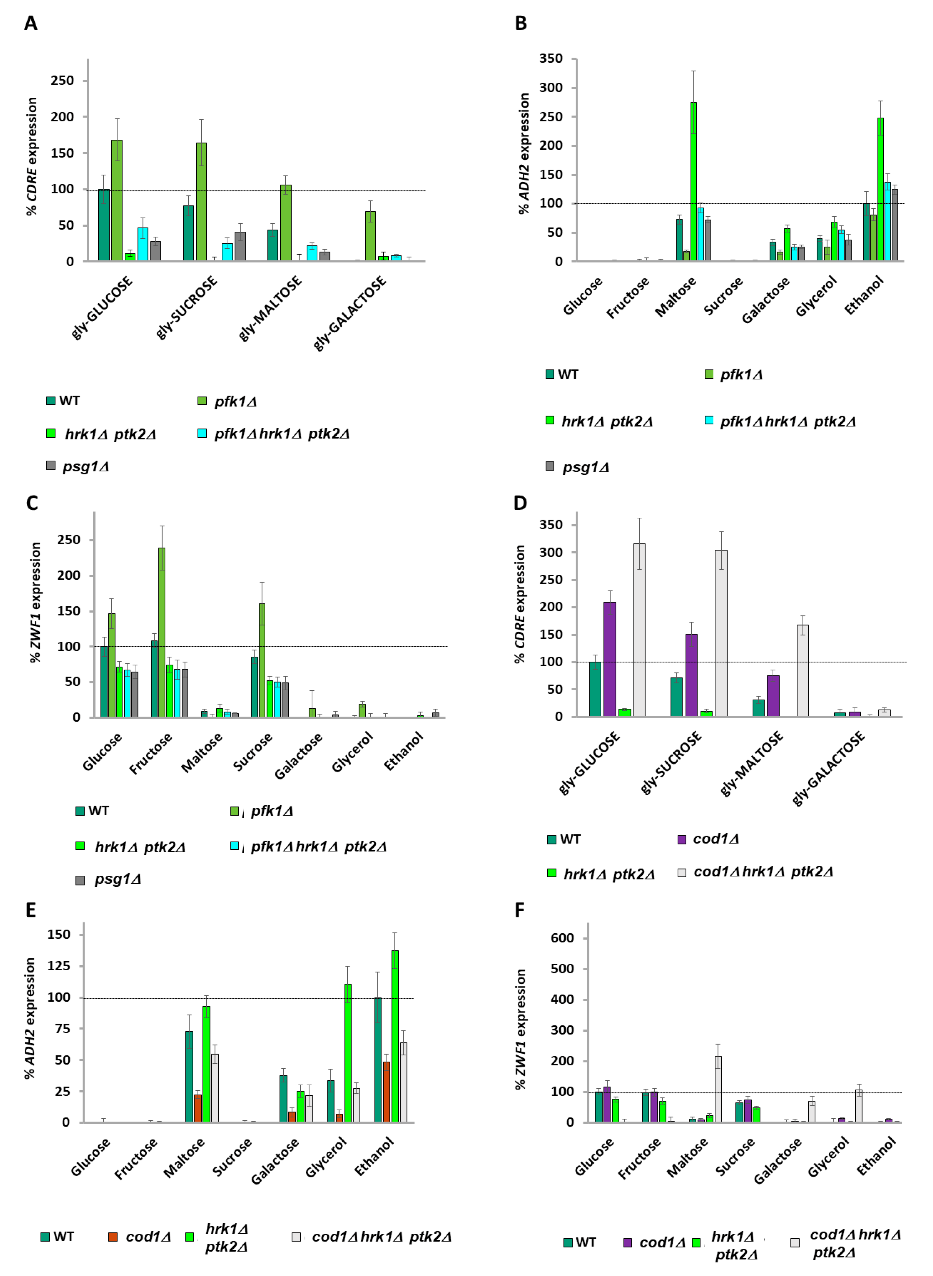 Ijms 26 02198 g005 Ijms 26 02198 g005