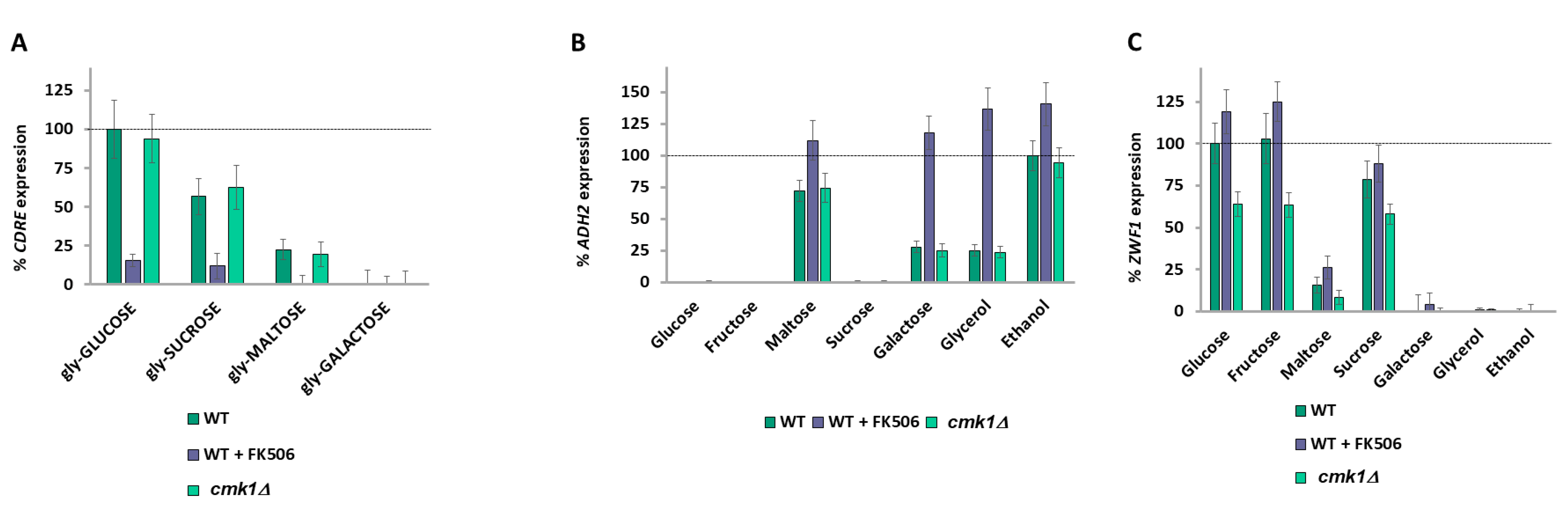 Ijms 26 02198 g006 Ijms 26 02198 g006