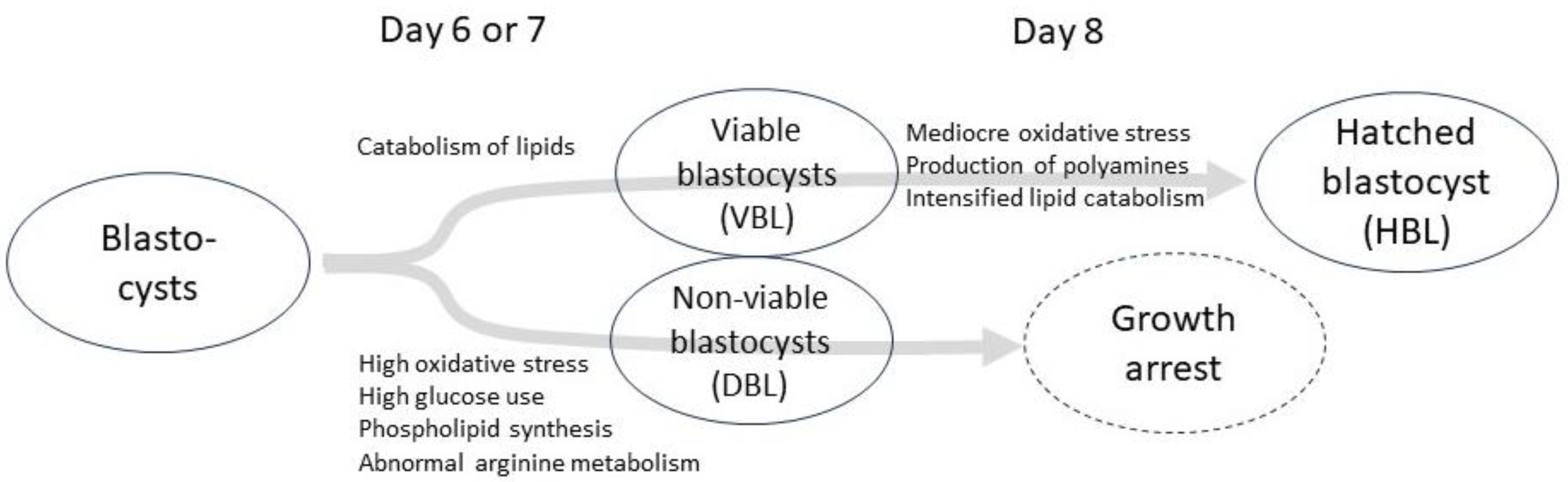 Ijms 26 02362 g001 Ijms 26 02362 g001