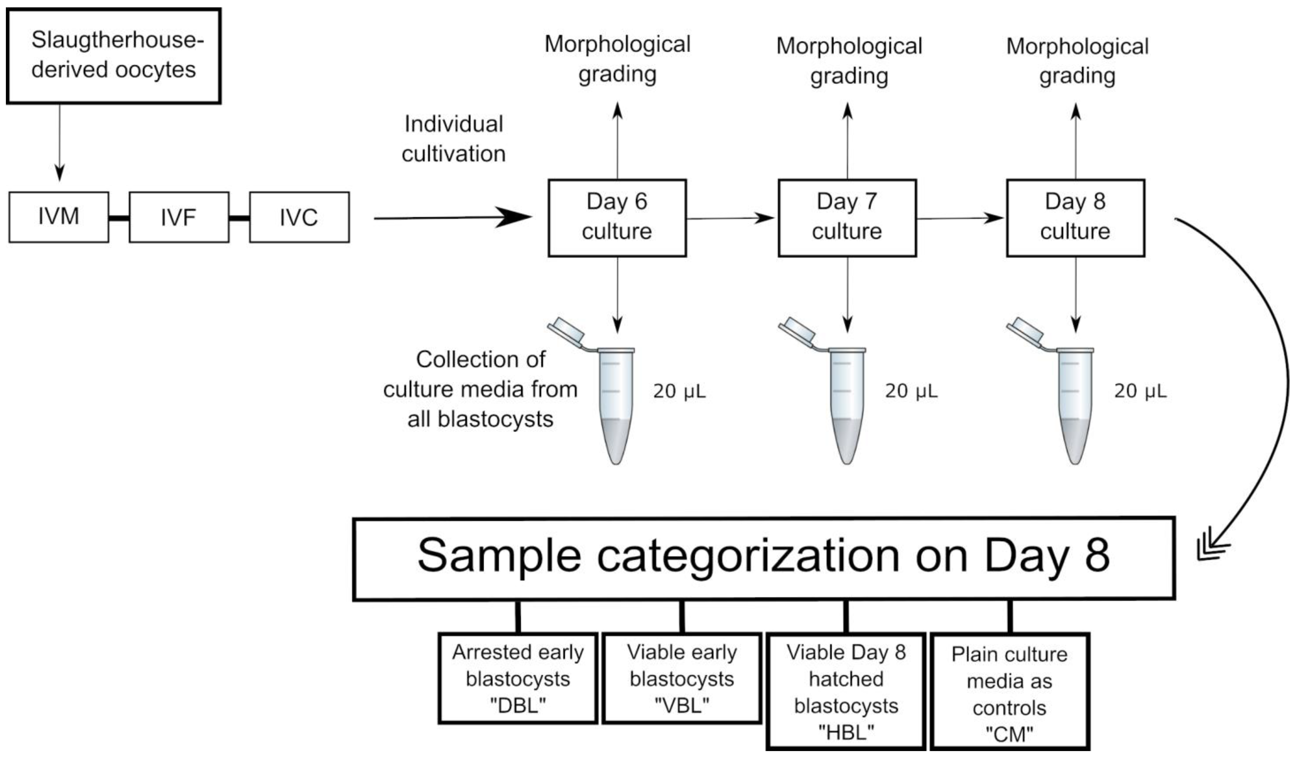 Ijms 26 02362 g002 Ijms 26 02362 g002