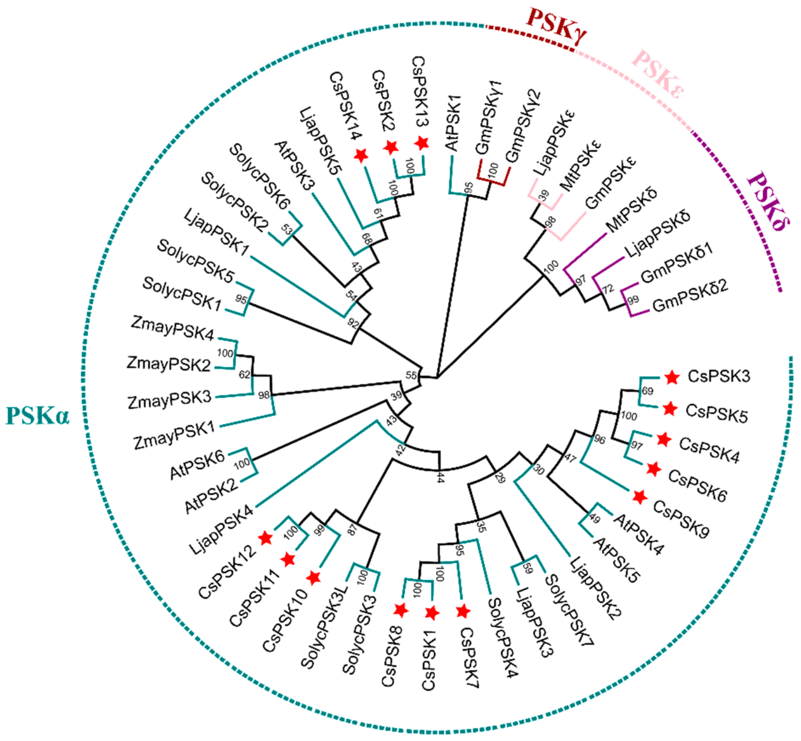 Ijms 26 02418 g002 Ijms 26 02418 g002