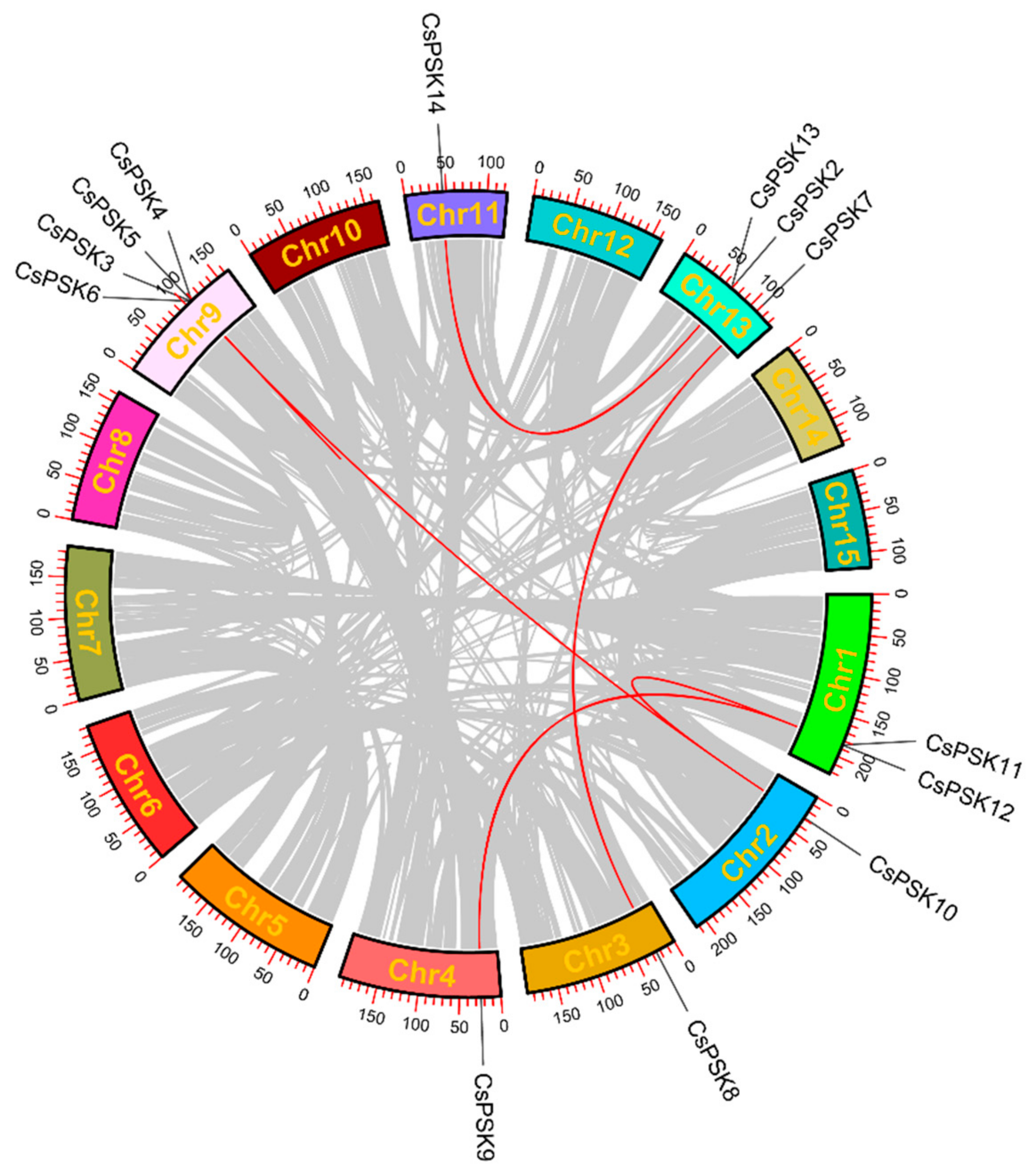 Ijms 26 02418 g003 Ijms 26 02418 g003