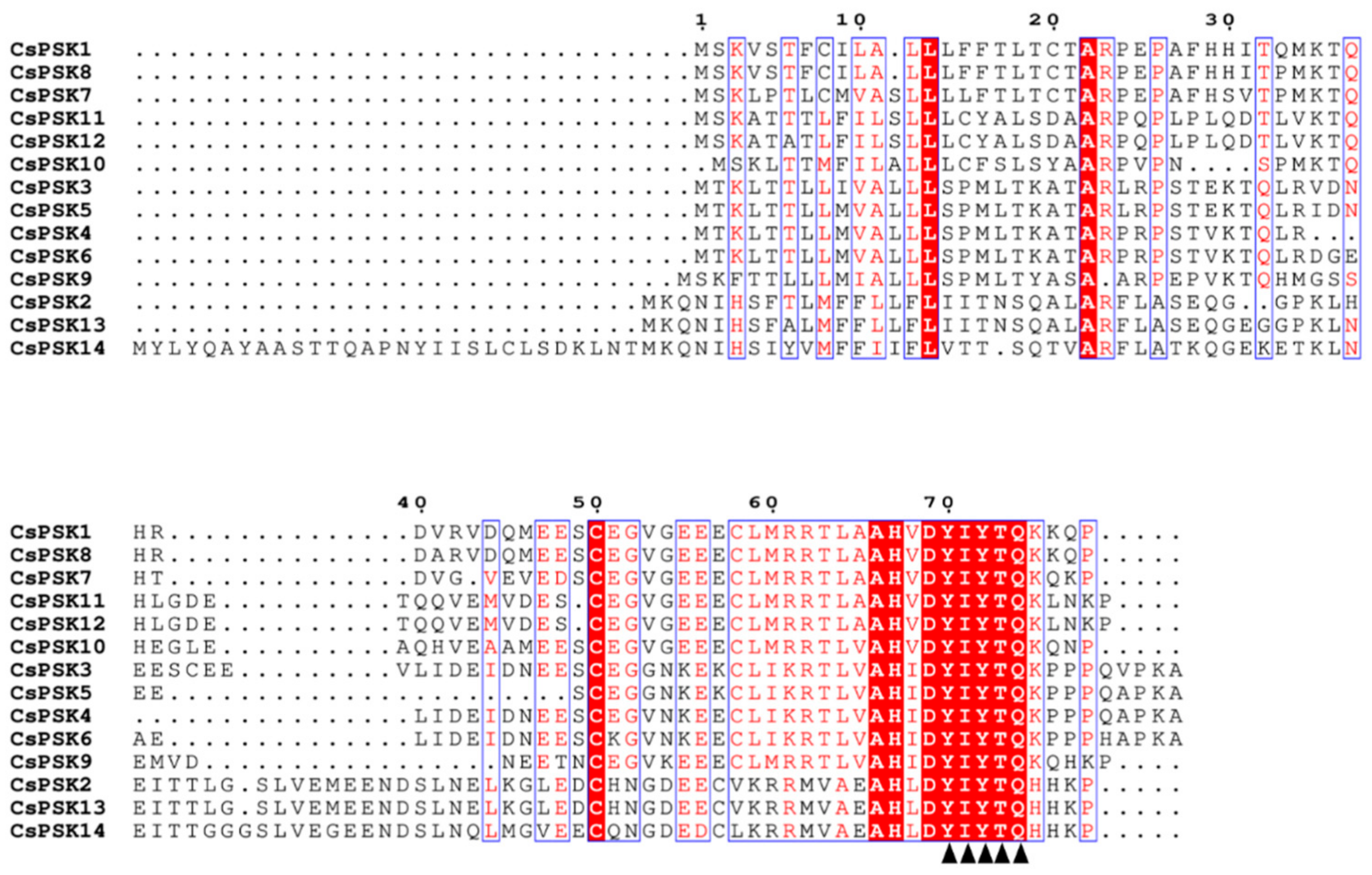 Ijms 26 02418 g006 Ijms 26 02418 g006