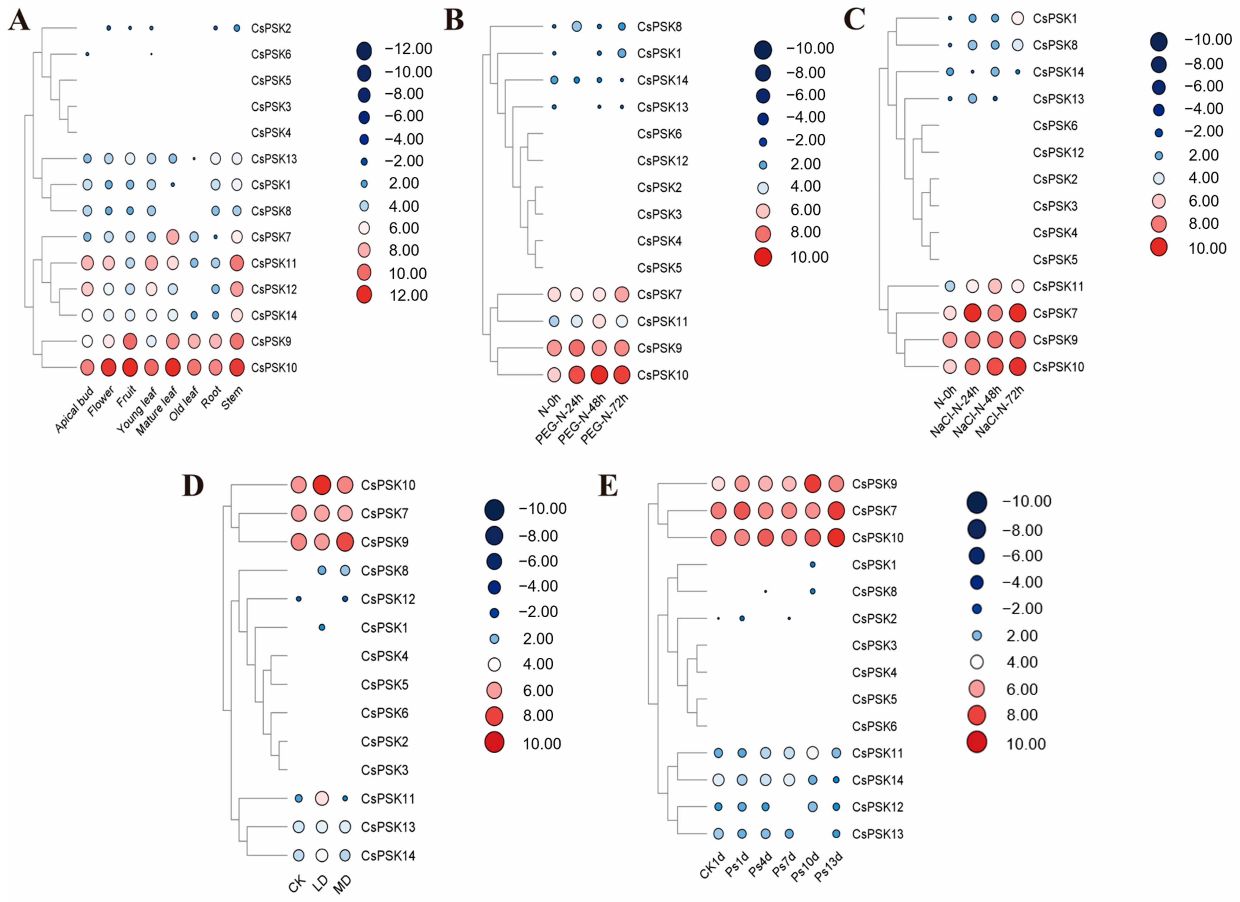 Ijms 26 02418 g008 Ijms 26 02418 g008
