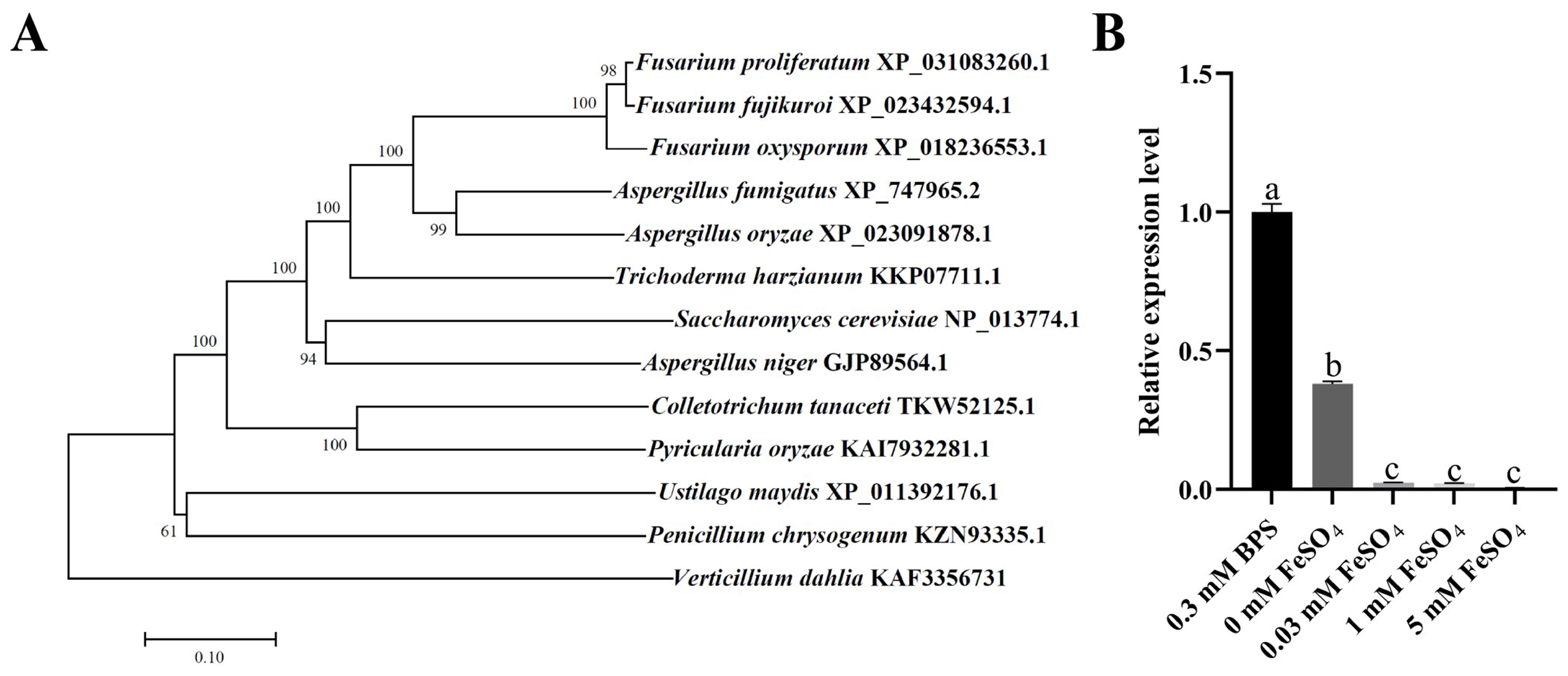 Ijms 26 02883 g001 Ijms 26 02883 g001
